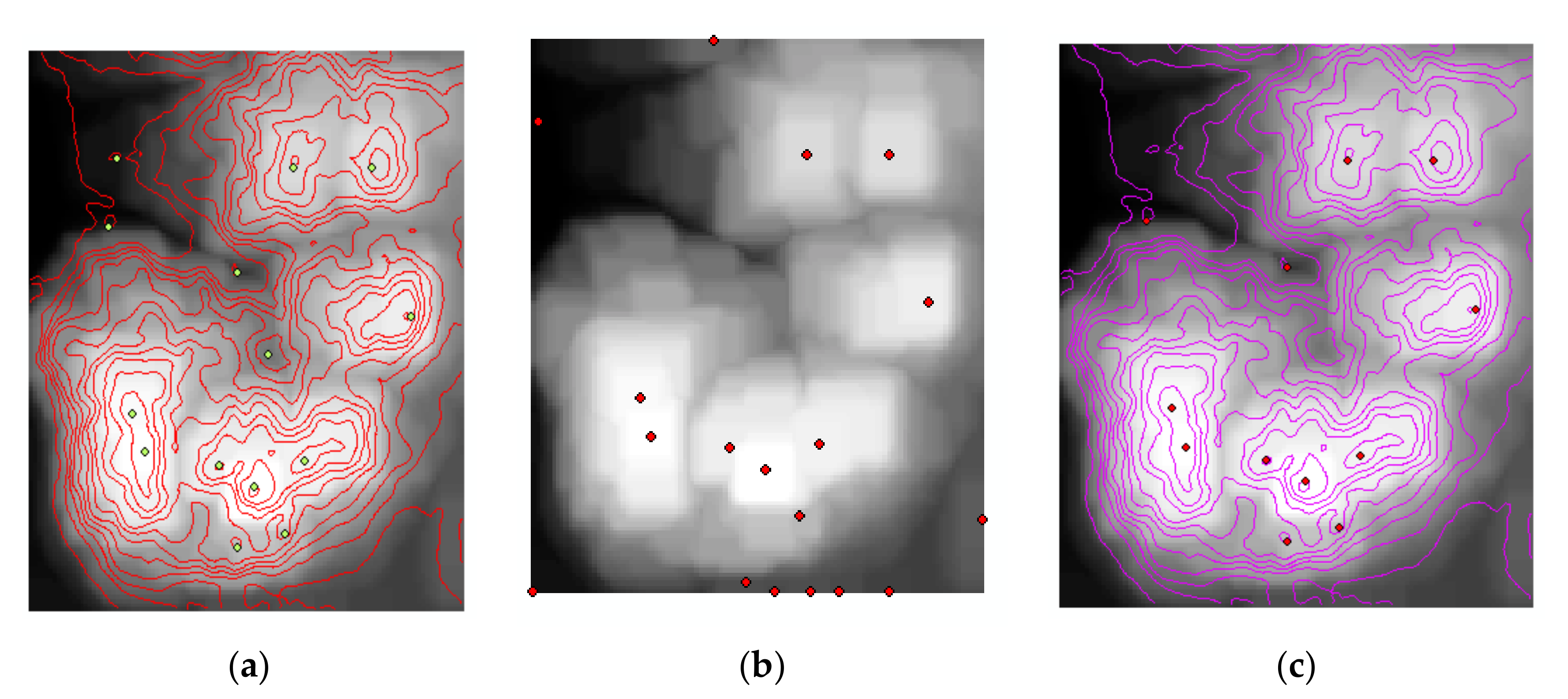 Remotesensing 13 00081 g026
