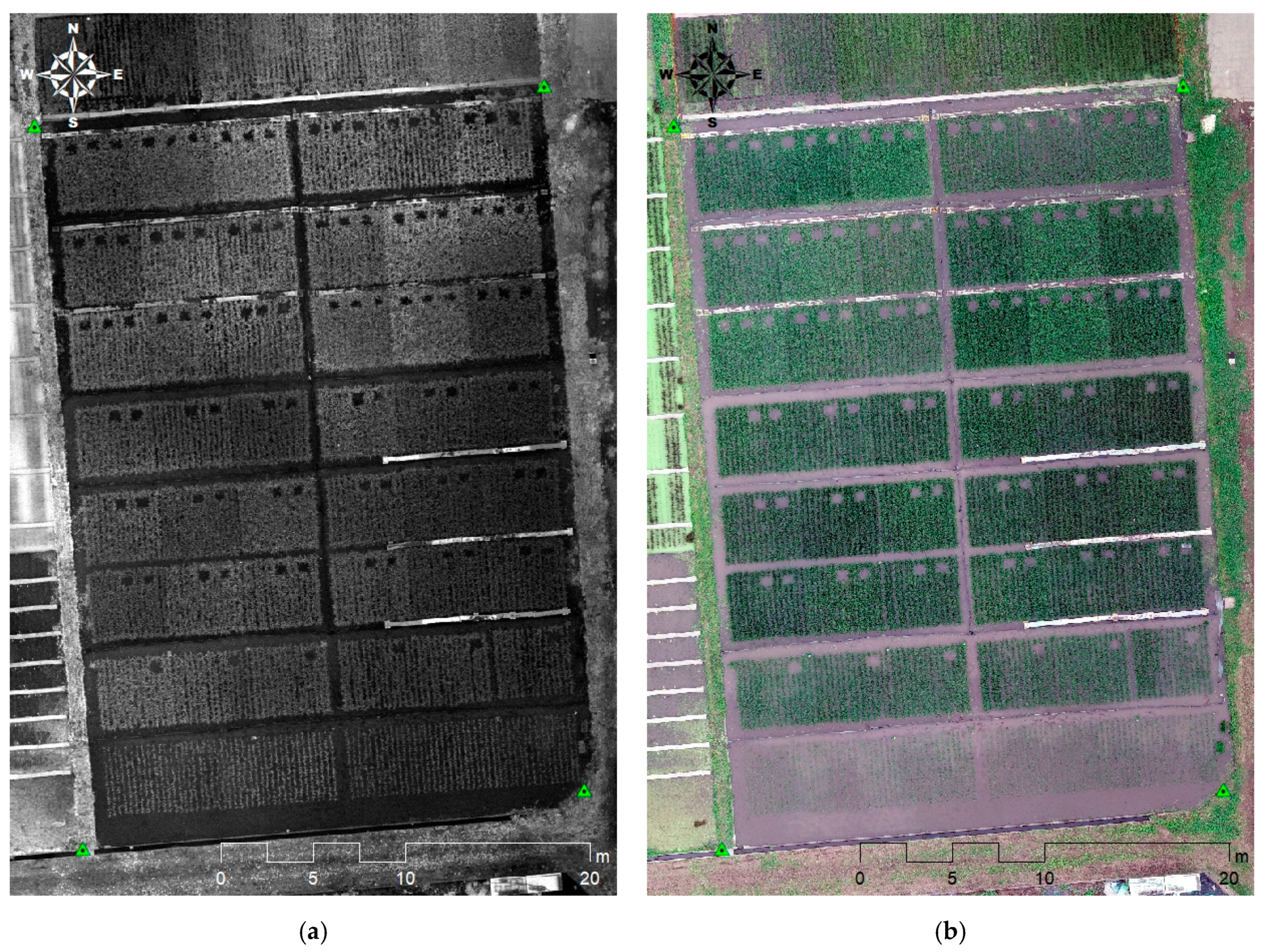 Remotesensing 13 00084 g002