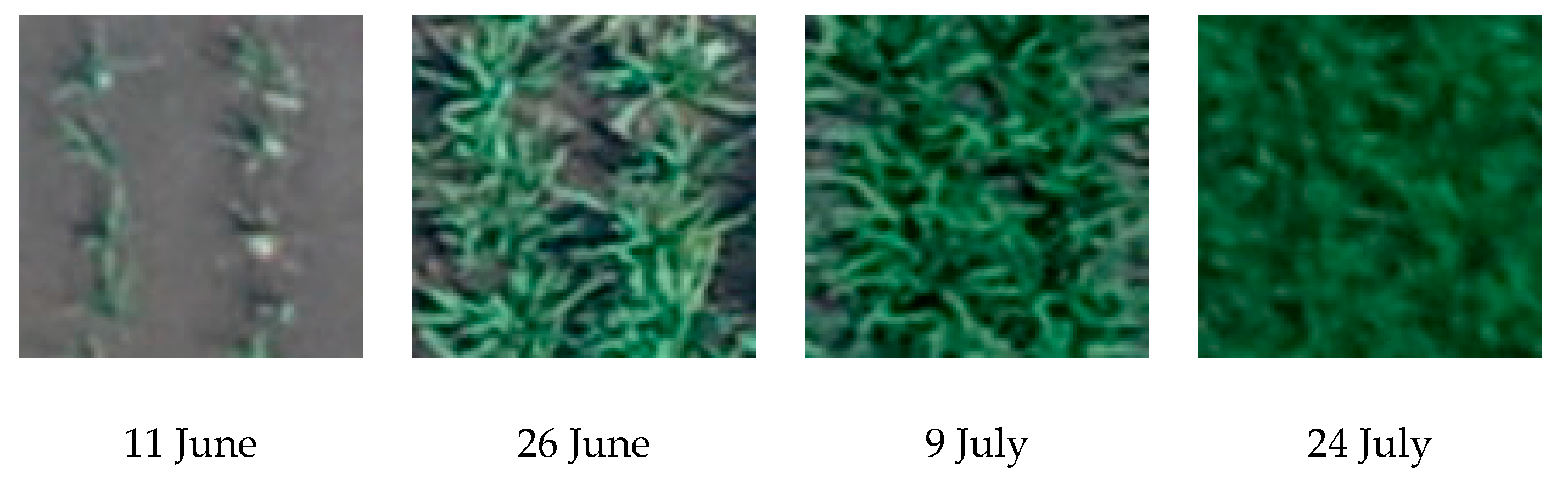 Remotesensing 13 00084 g004