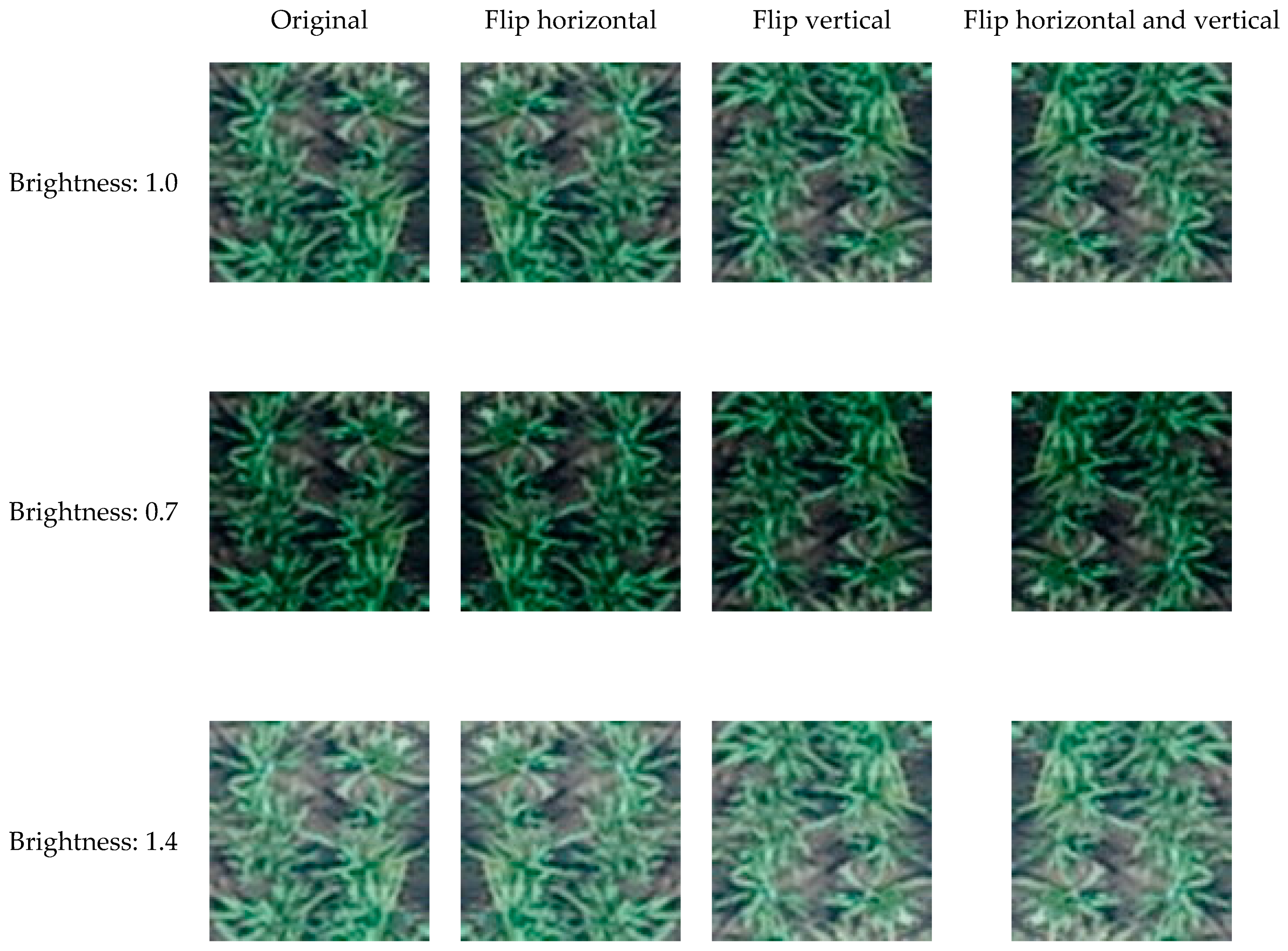 Remotesensing 13 00084 g005