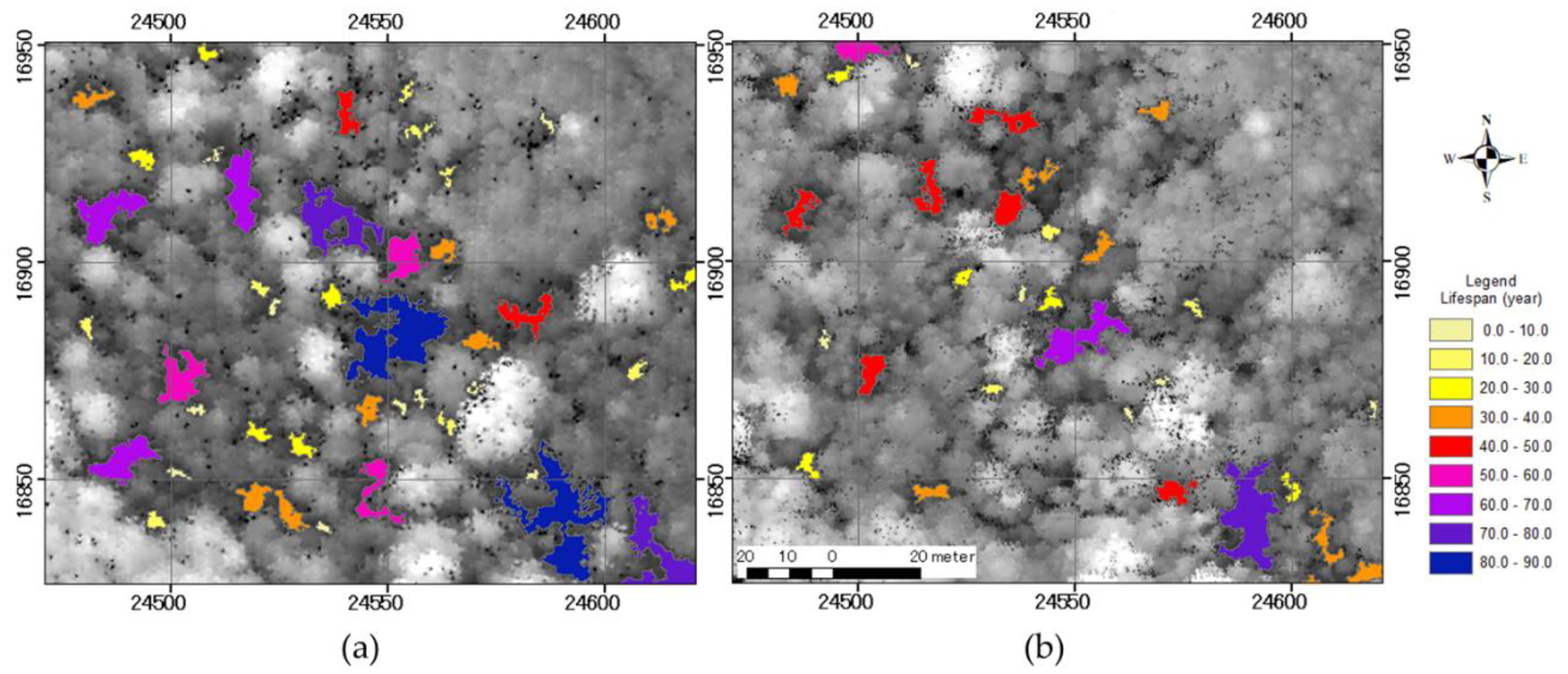 Remotesensing 13 00100 g011