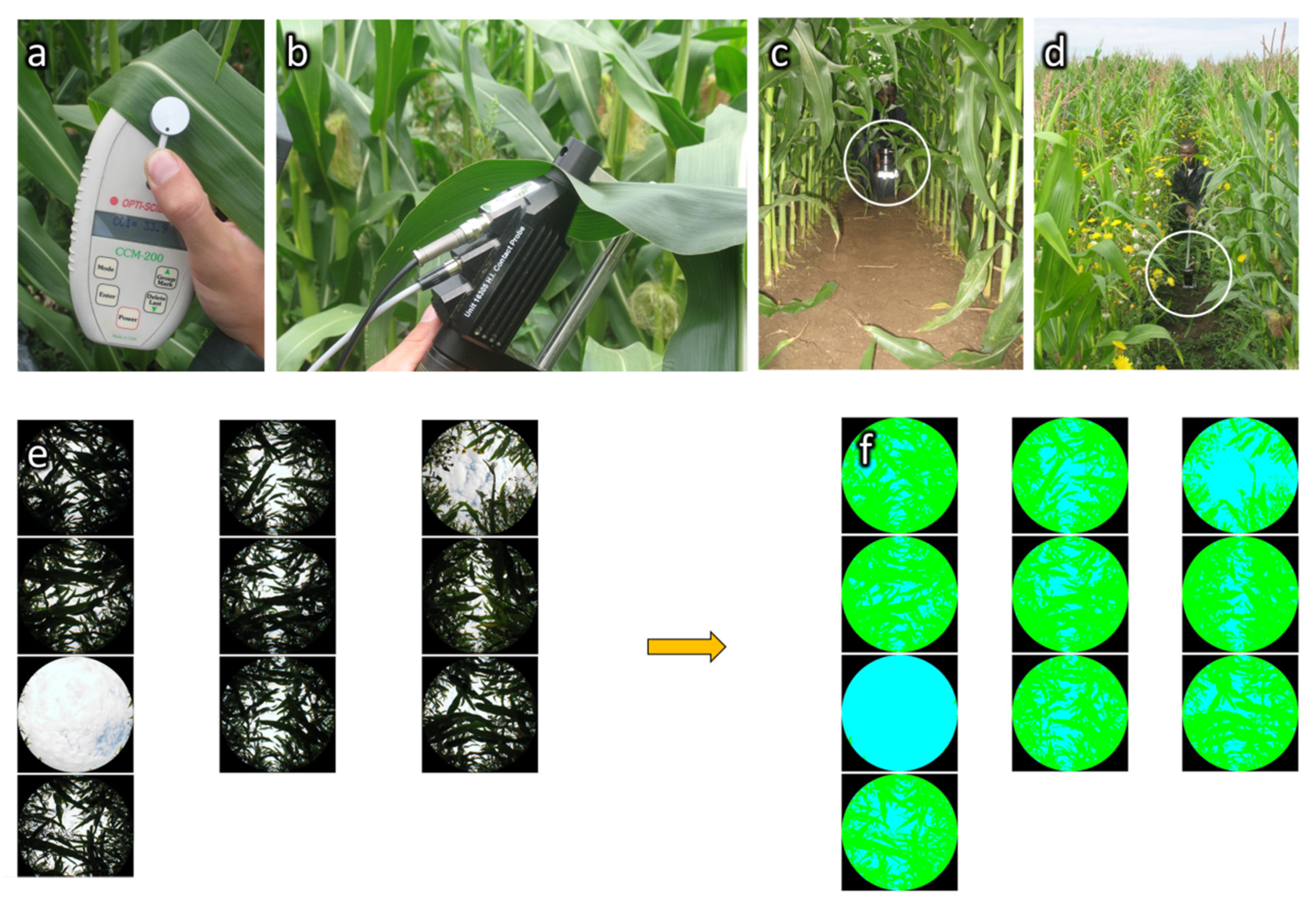 Remotesensing 13 00117 g003