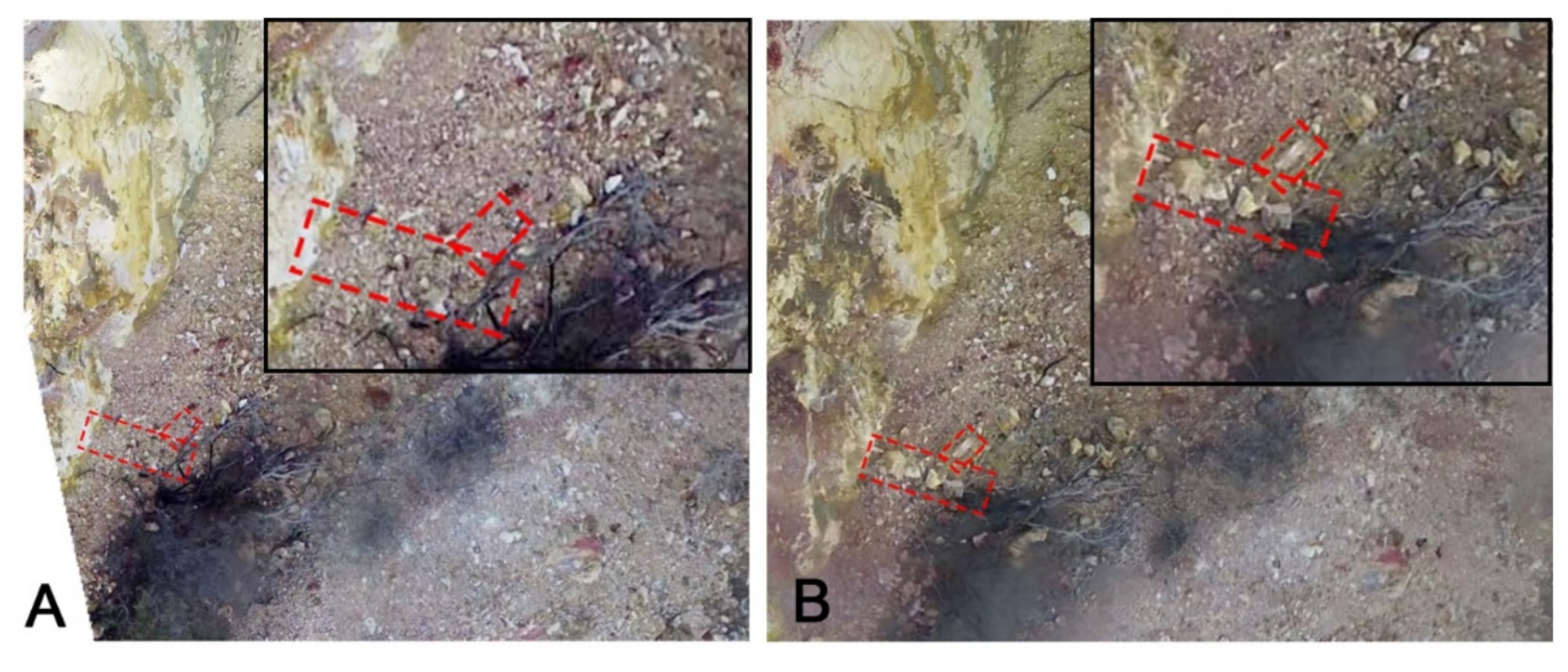 Remotesensing 13 00118 g007 Remotesensing 13 00118 g007