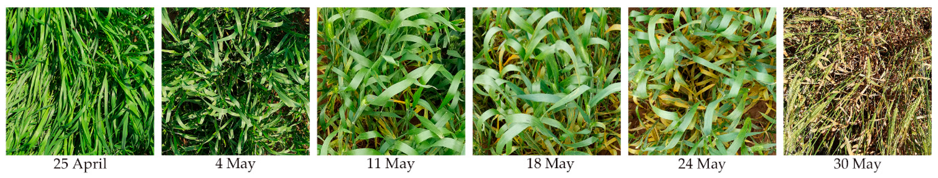 Remotesensing 13 00123 g002