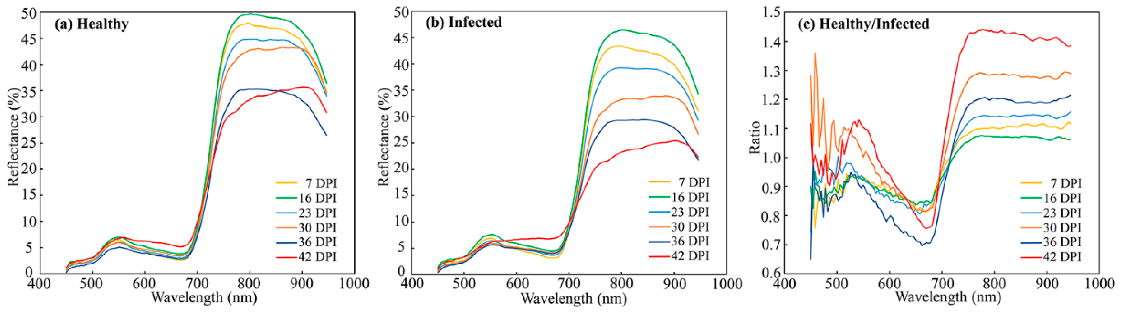 Remotesensing 13 00123 g005