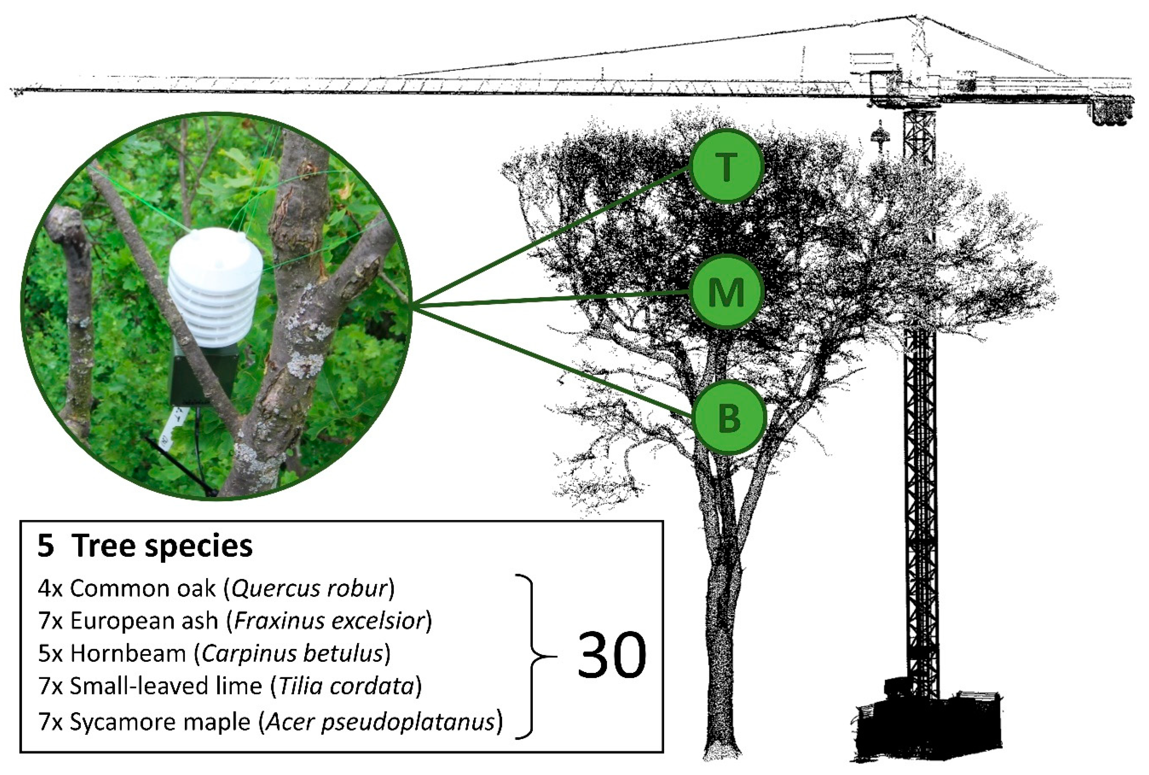 Remotesensing 13 00135 g002