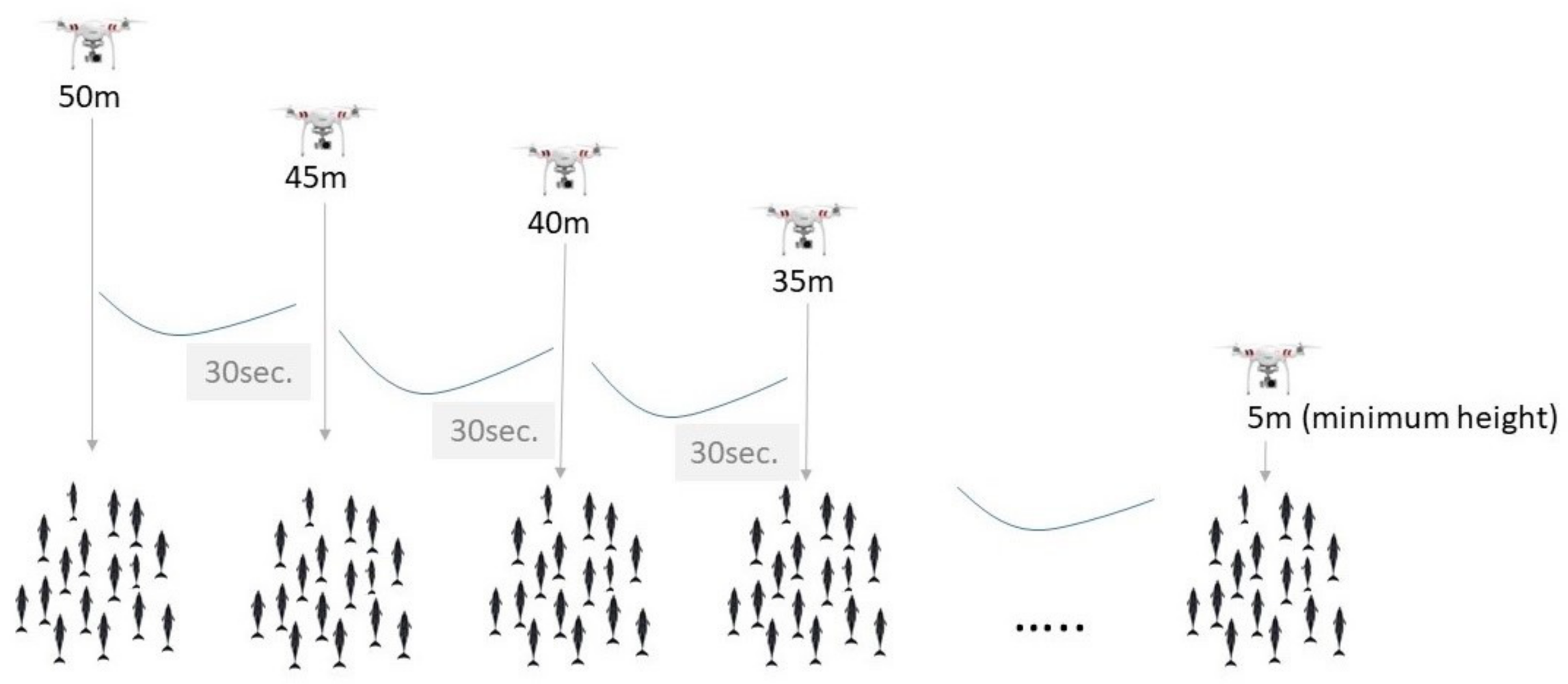 Remotesensing 13 00156 g001