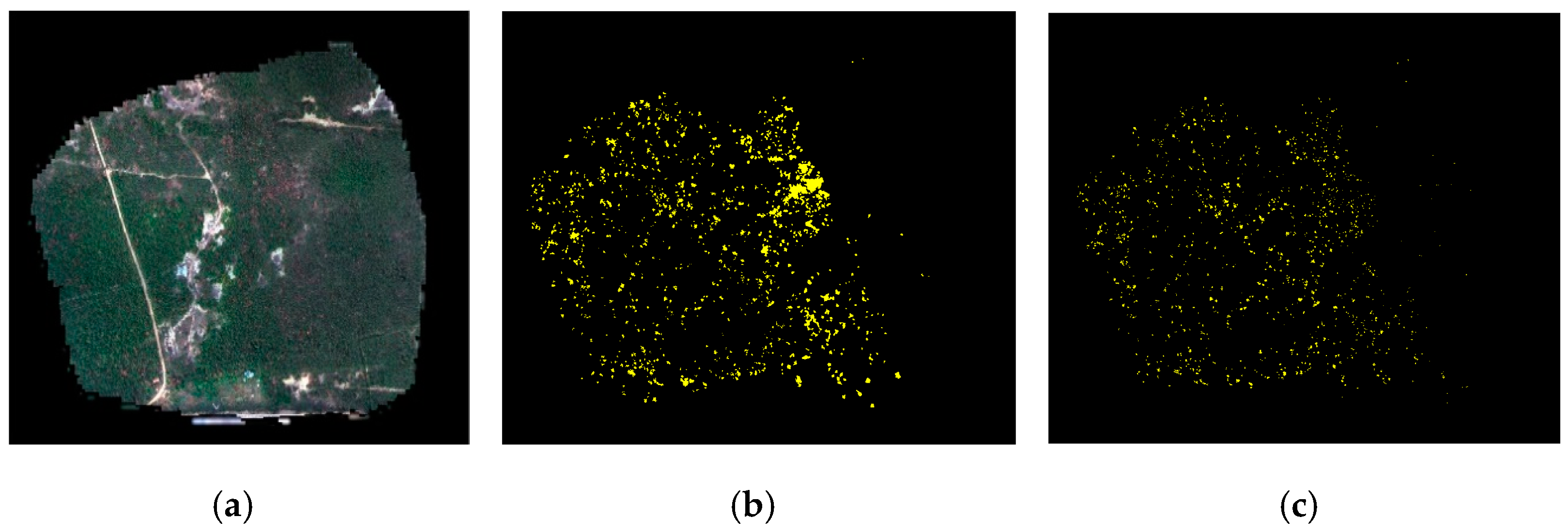 Remotesensing 13 00162 g008