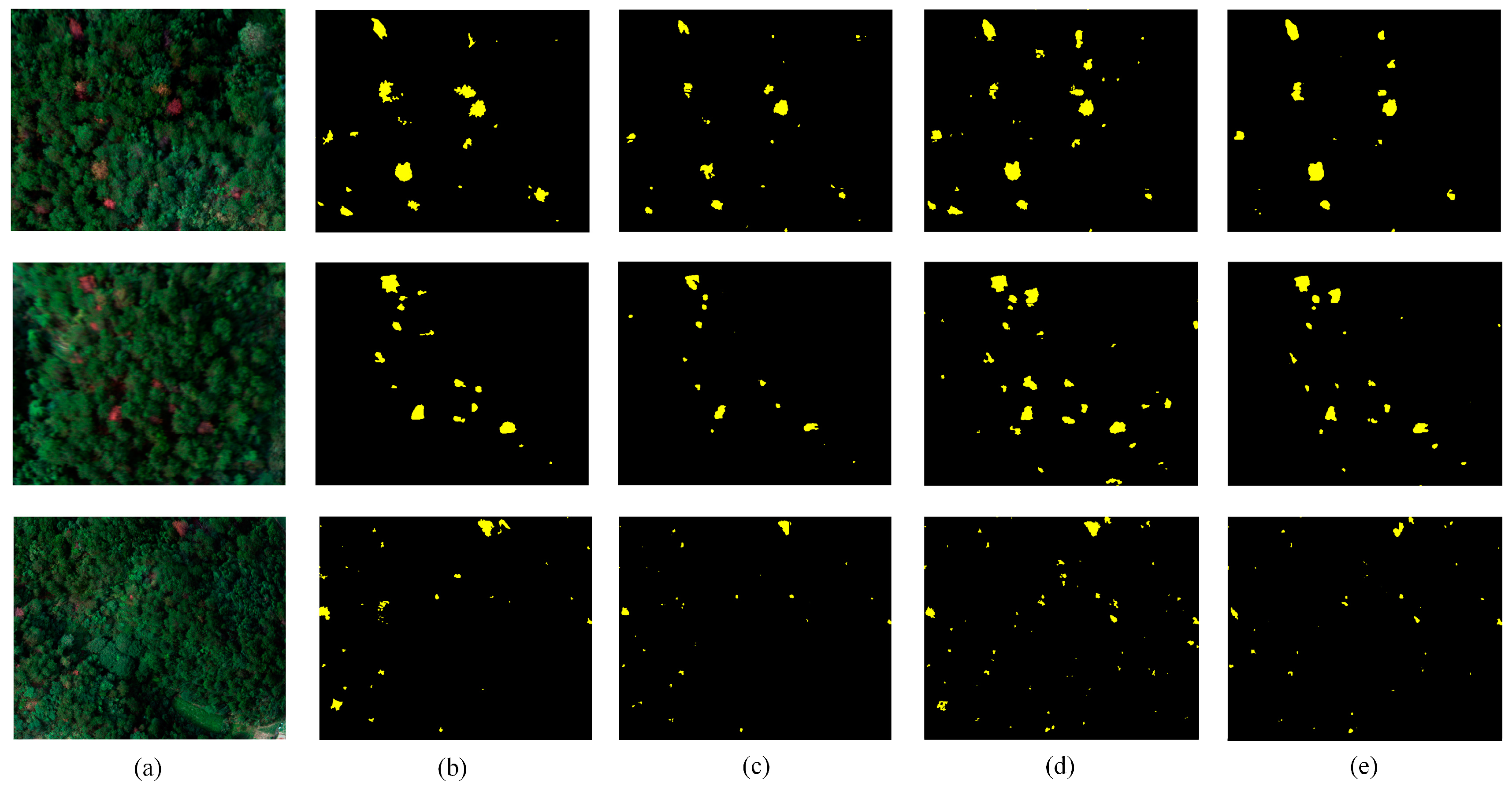 Remotesensing 13 00162 g013