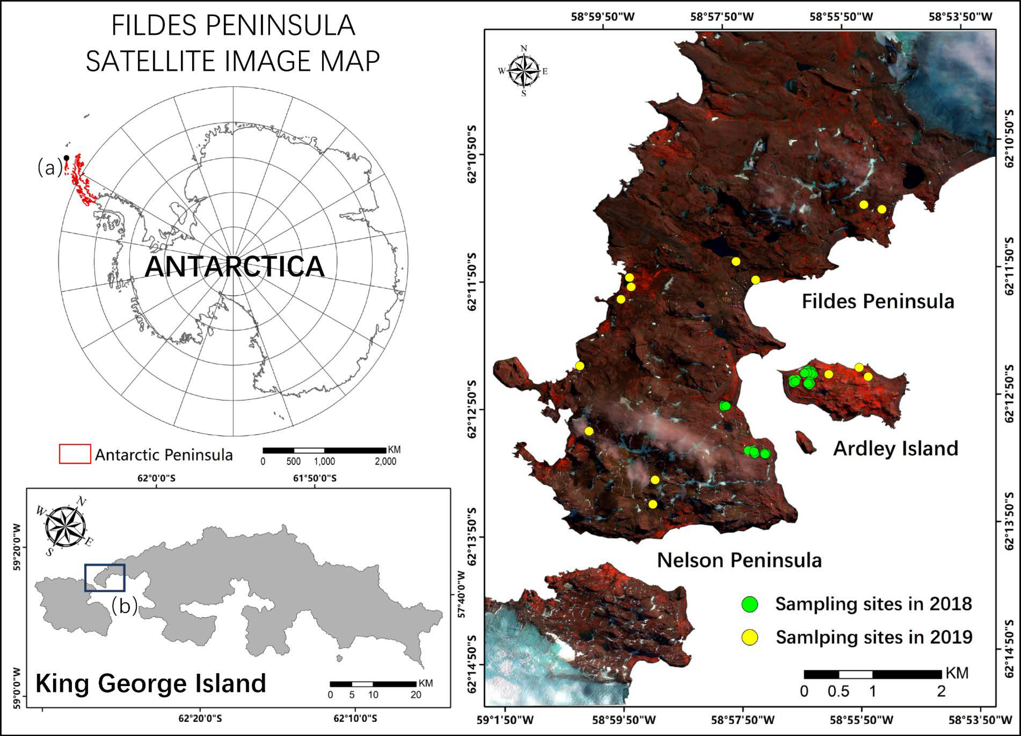 Remotesensing 13 00166 g001