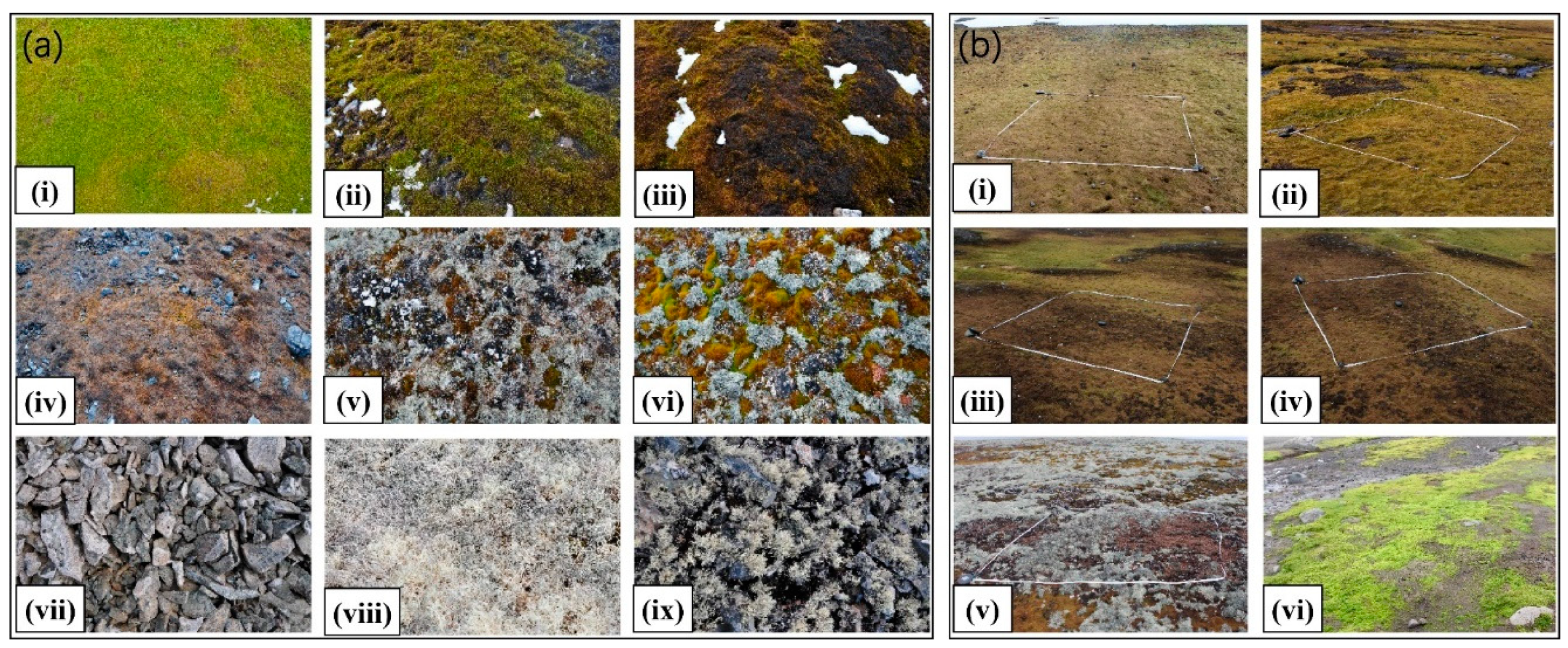 Remotesensing 13 00166 g002