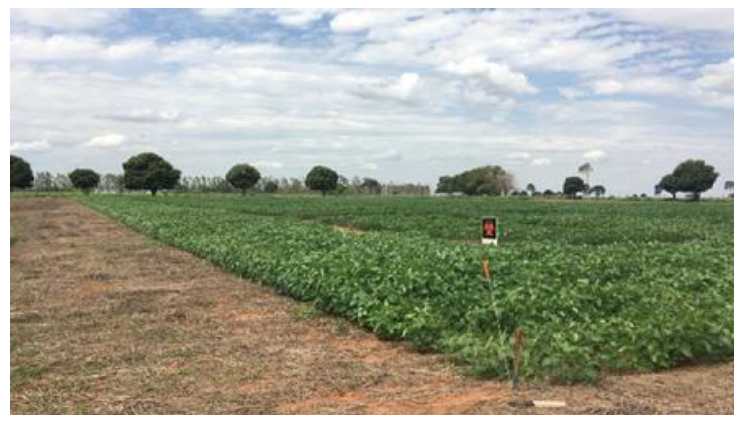 Remotesensing 13 00172 g003