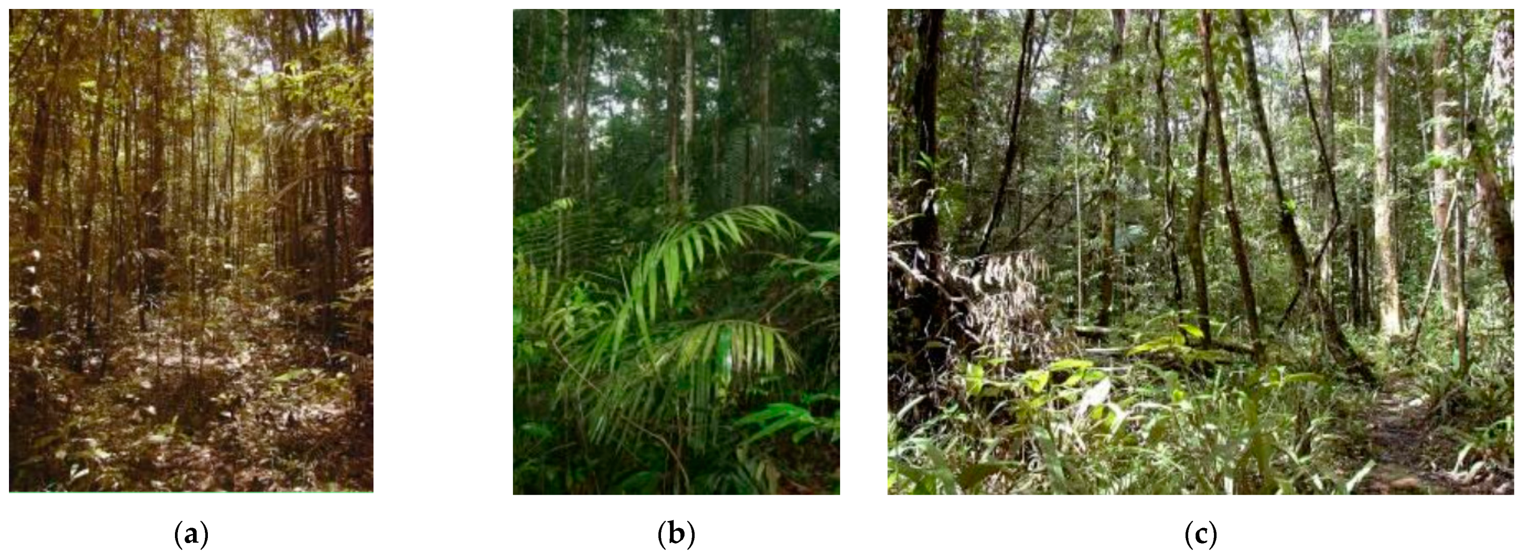 Remotesensing 13 00186 g003