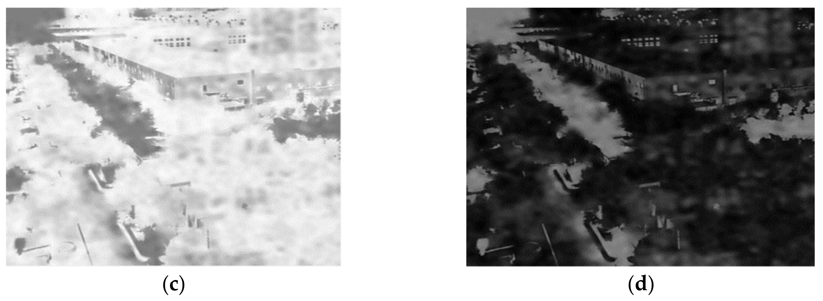 Remotesensing 13 00204 g005b