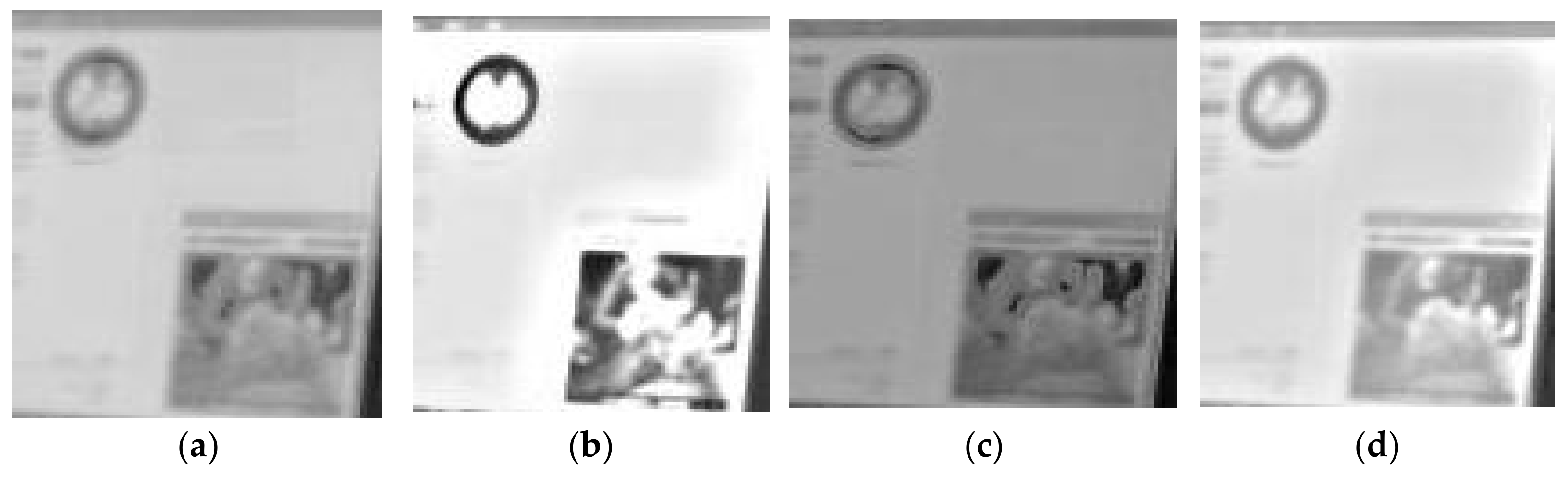 Remotesensing 13 00204 g010a