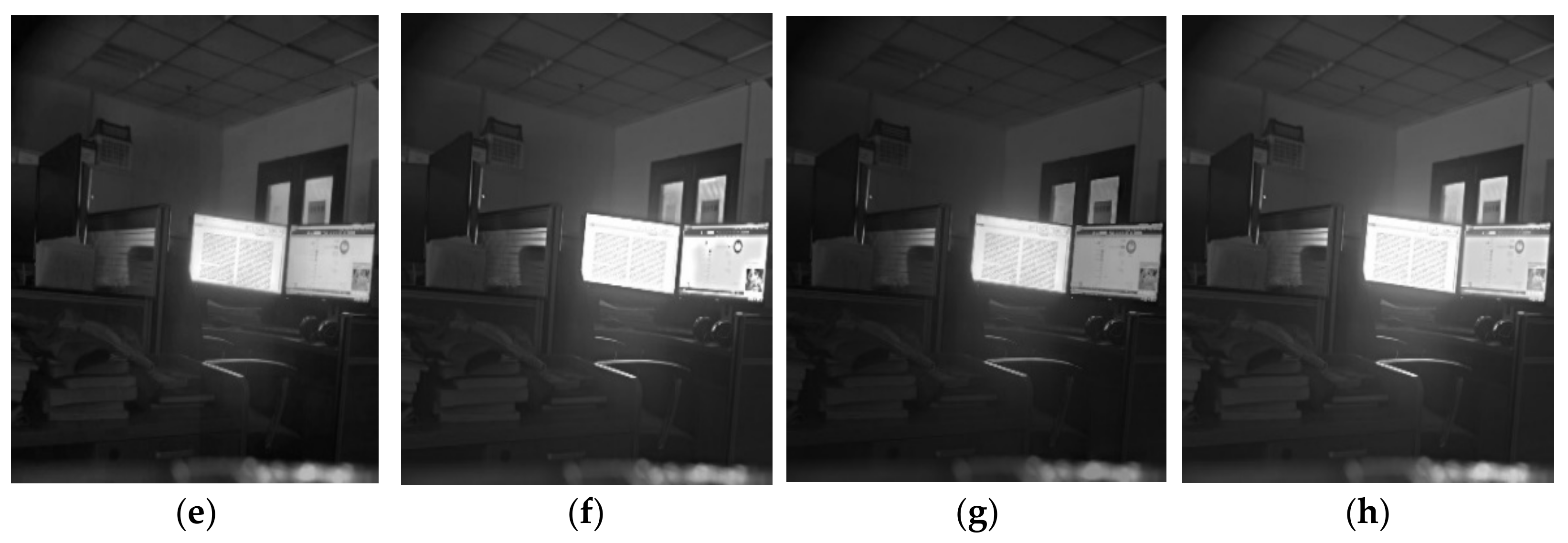 Remotesensing 13 00204 g010b