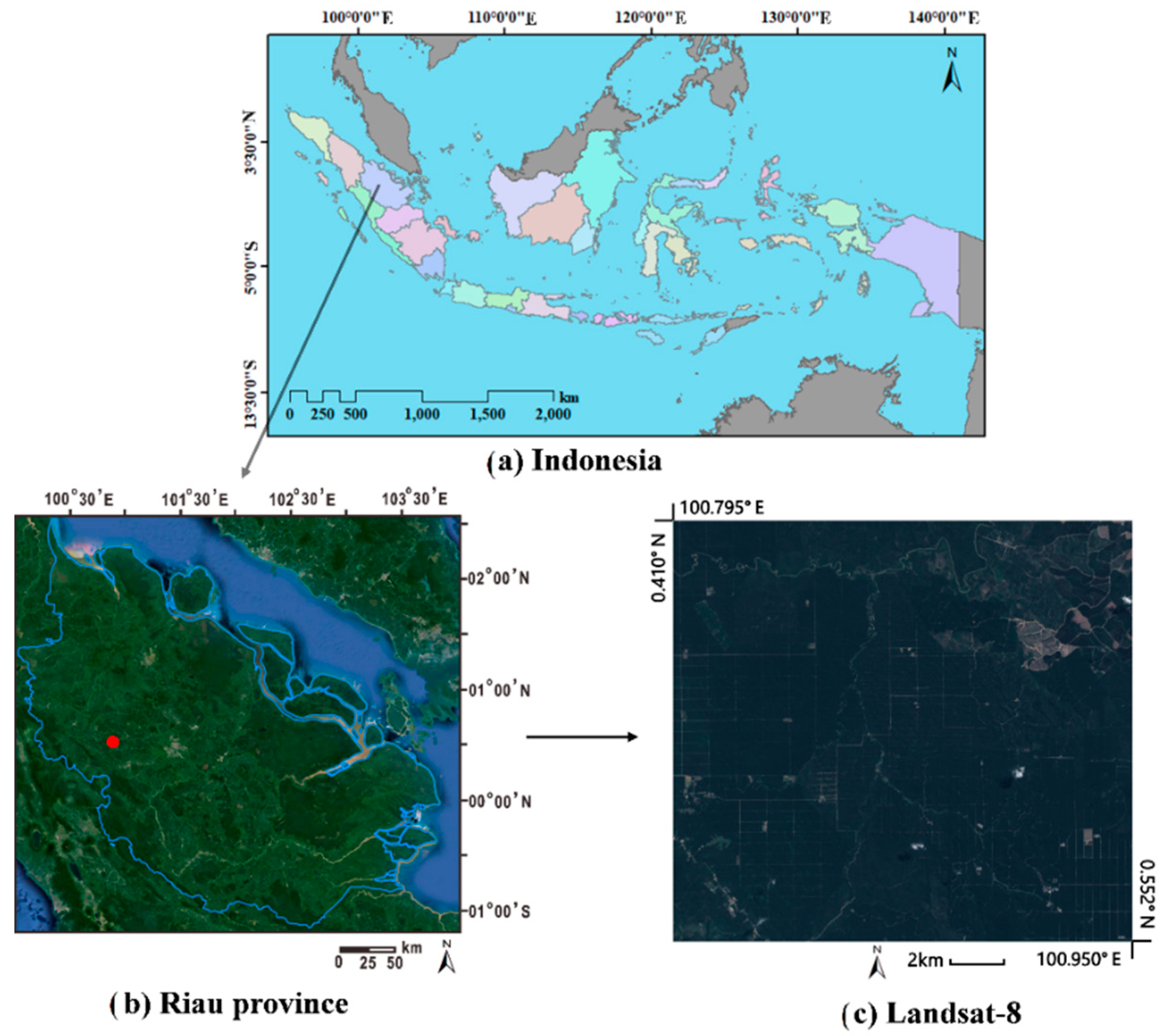 Remotesensing 13 00236 g001