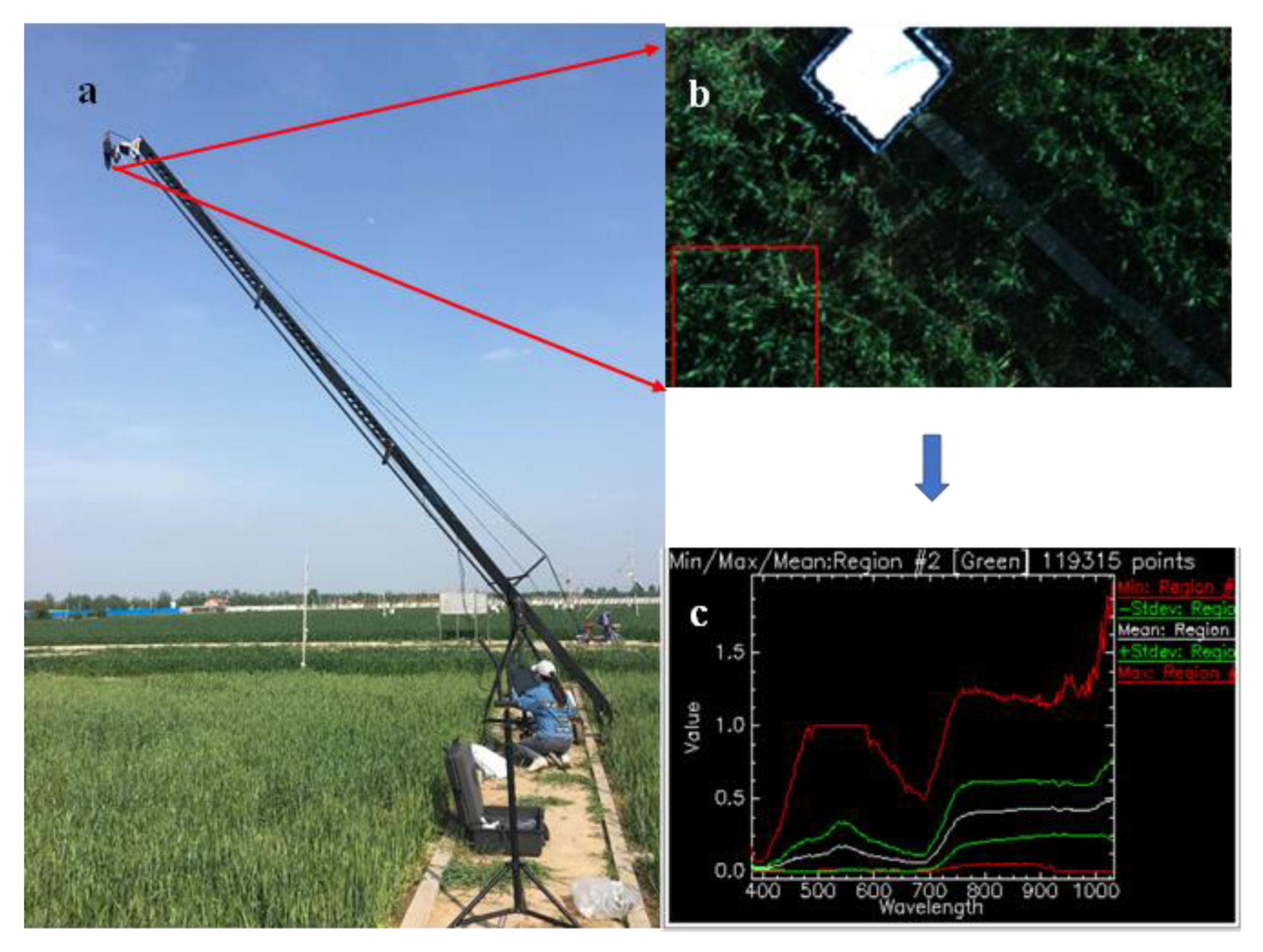 Remotesensing 13 00250 g003 Remotesensing 13 00250 g003