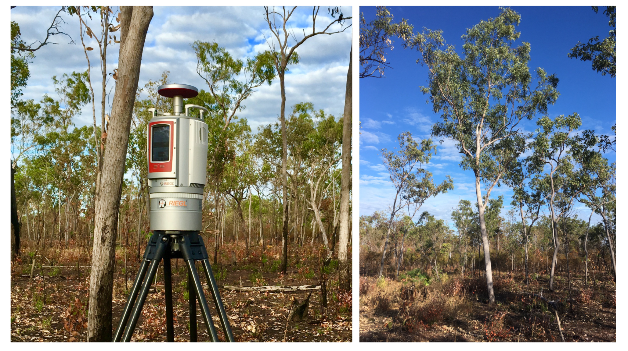 Remotesensing 13 00257 g002