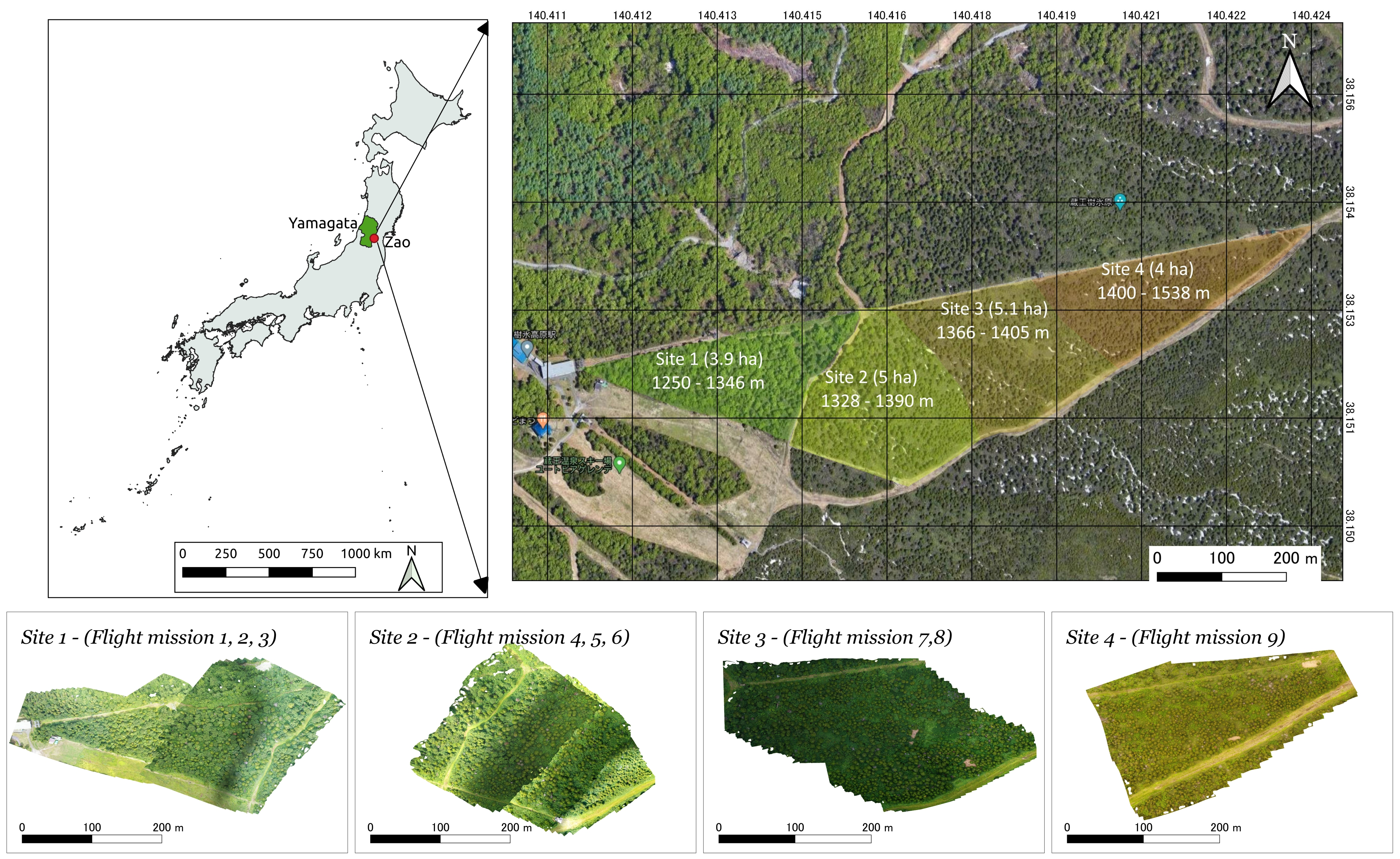 Remotesensing 13 00260 g001