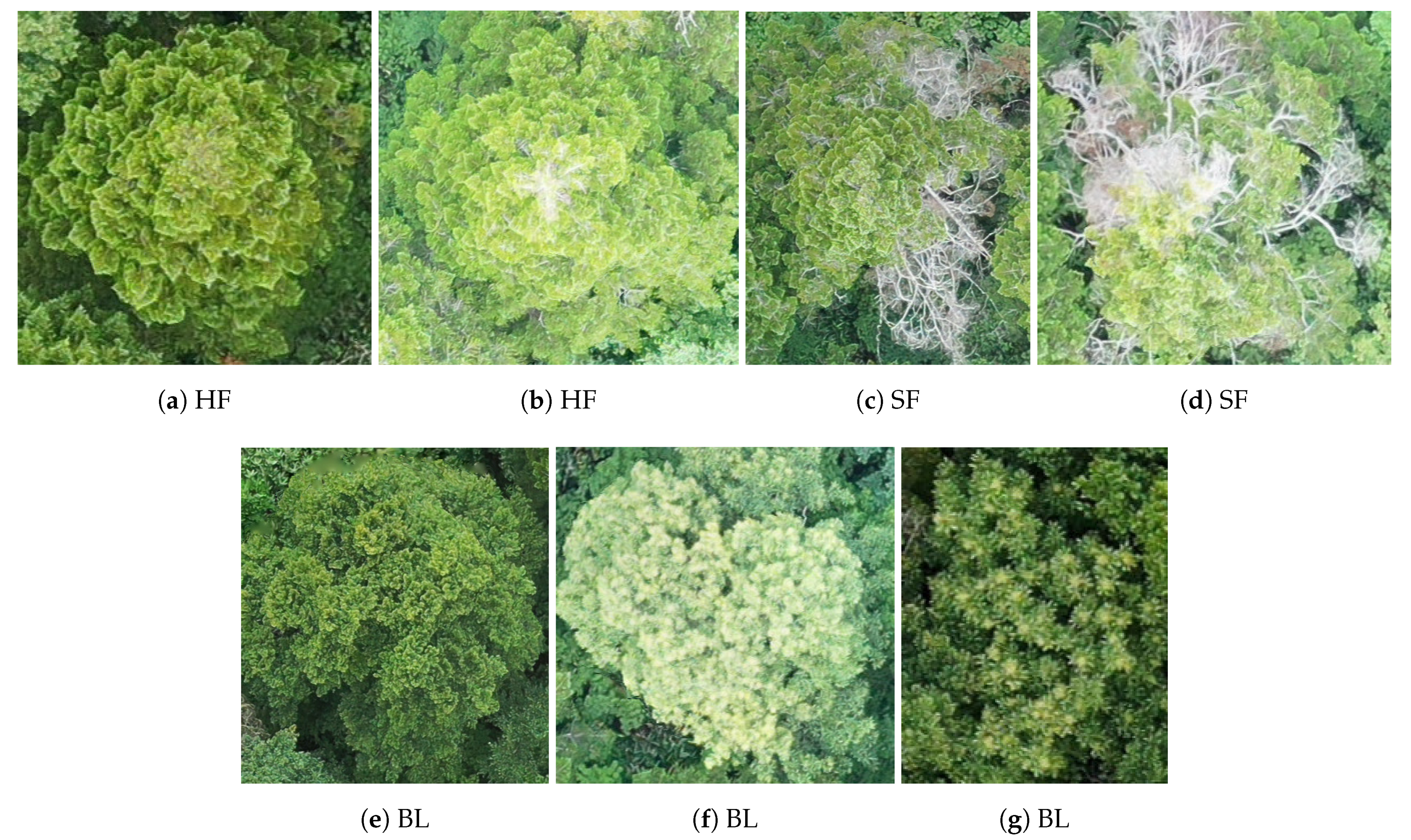 Remotesensing 13 00260 g002