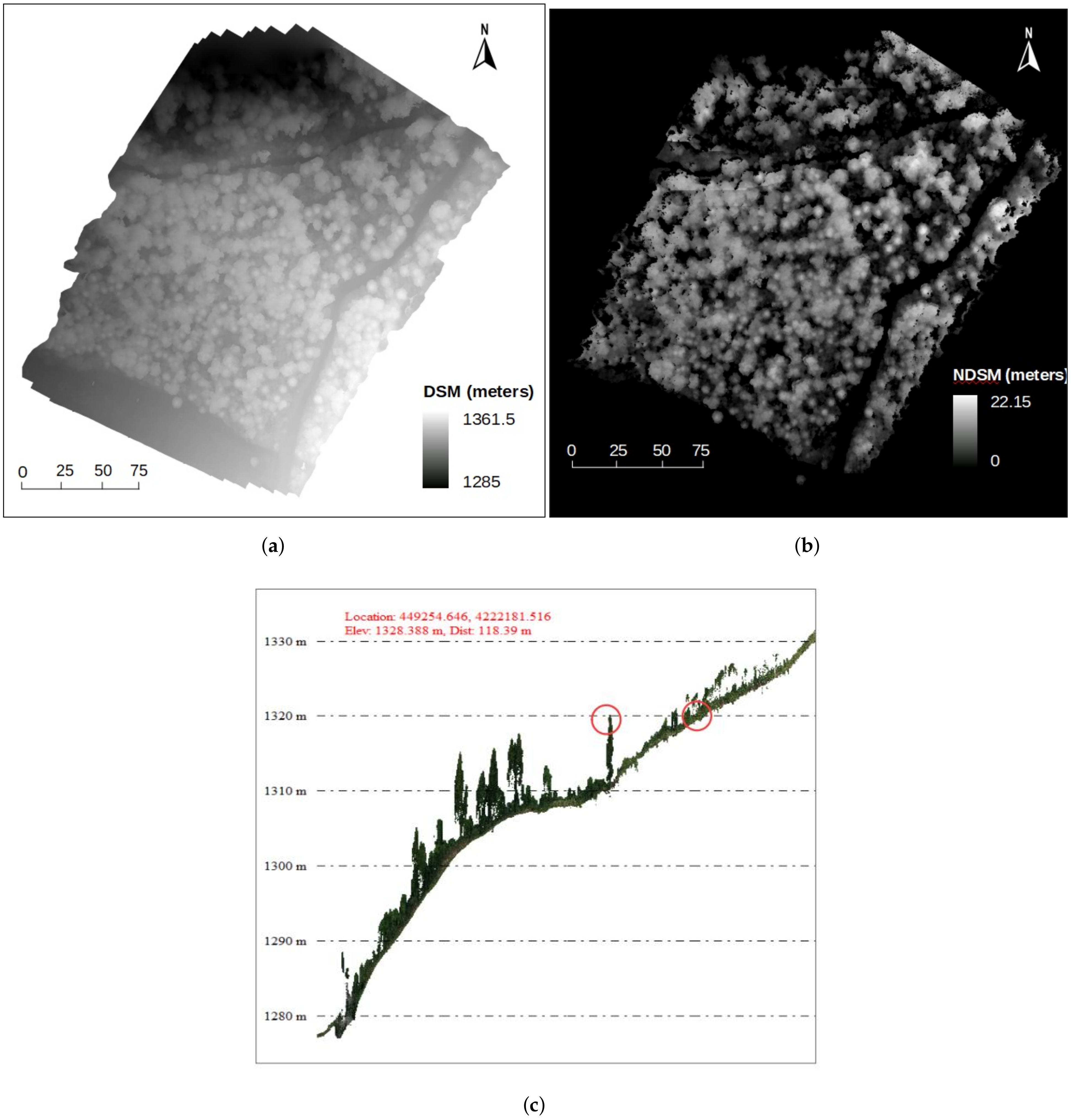 Remotesensing 13 00260 g004