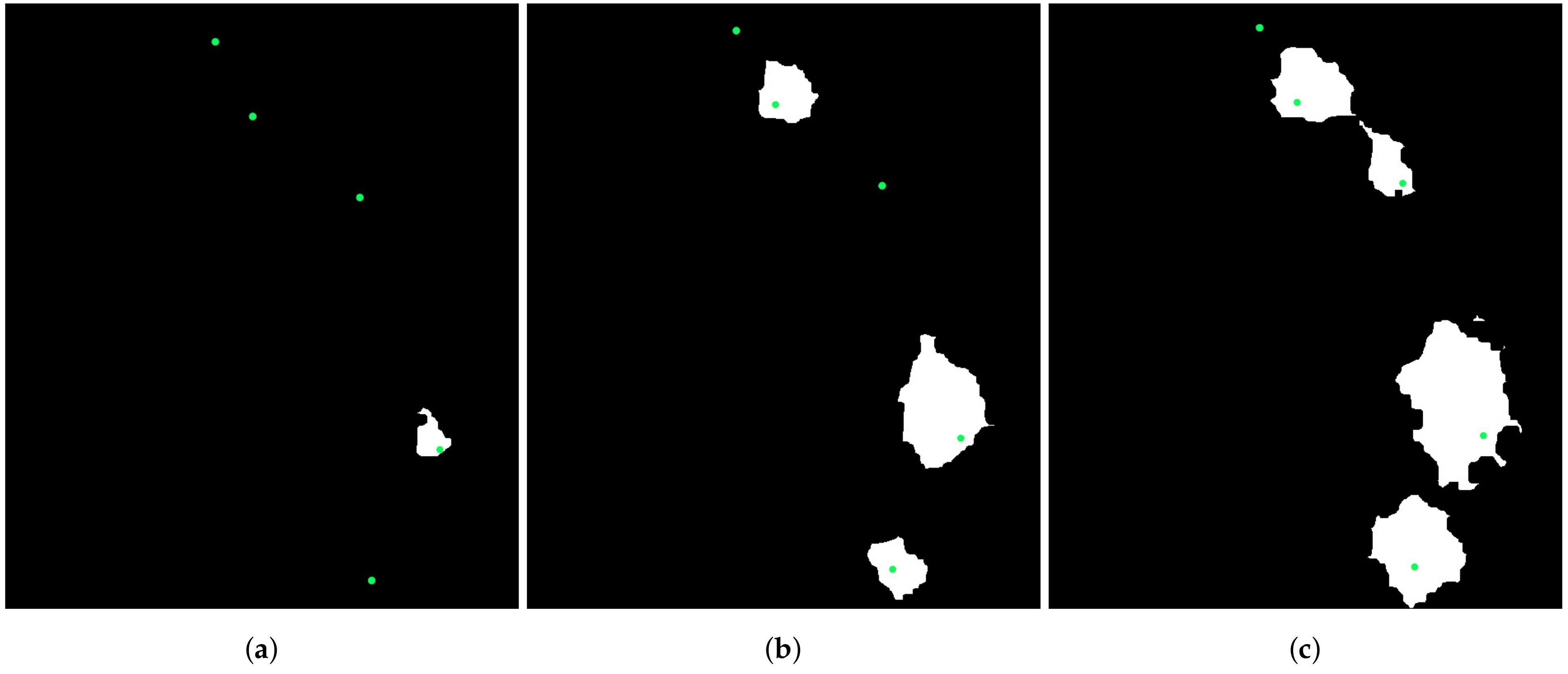 Remotesensing 13 00260 g005