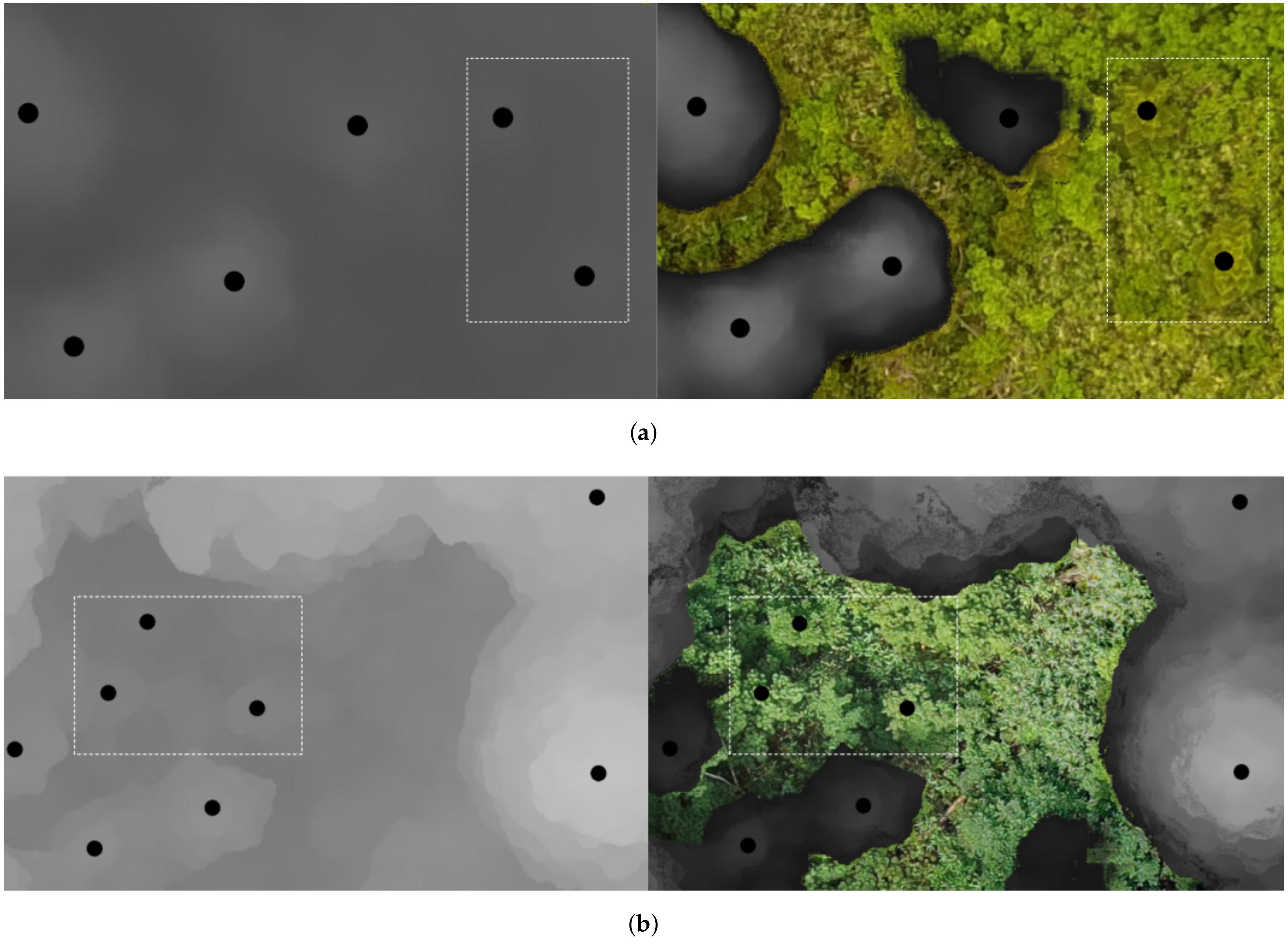 Remotesensing 13 00260 g006