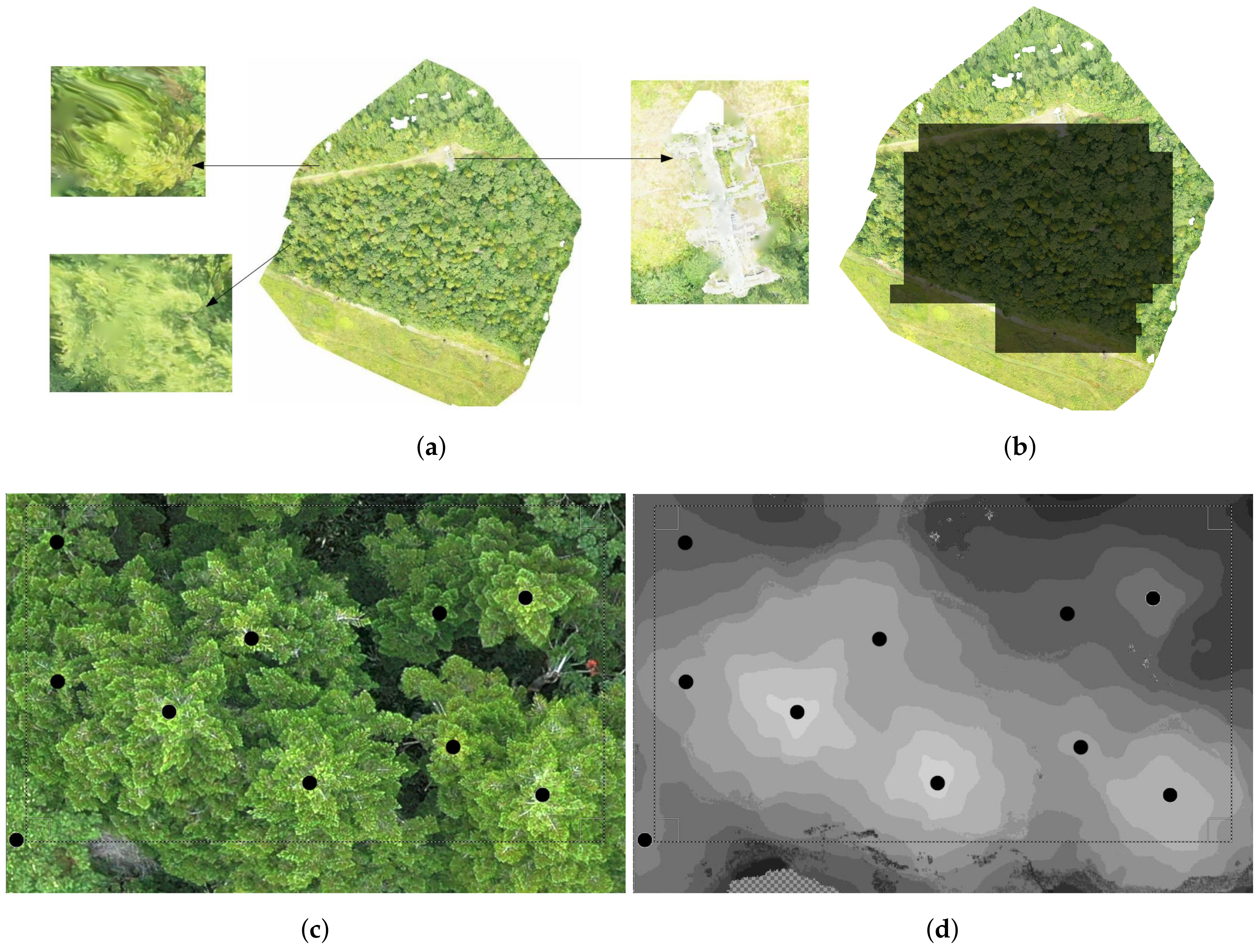 Remotesensing 13 00260 g009