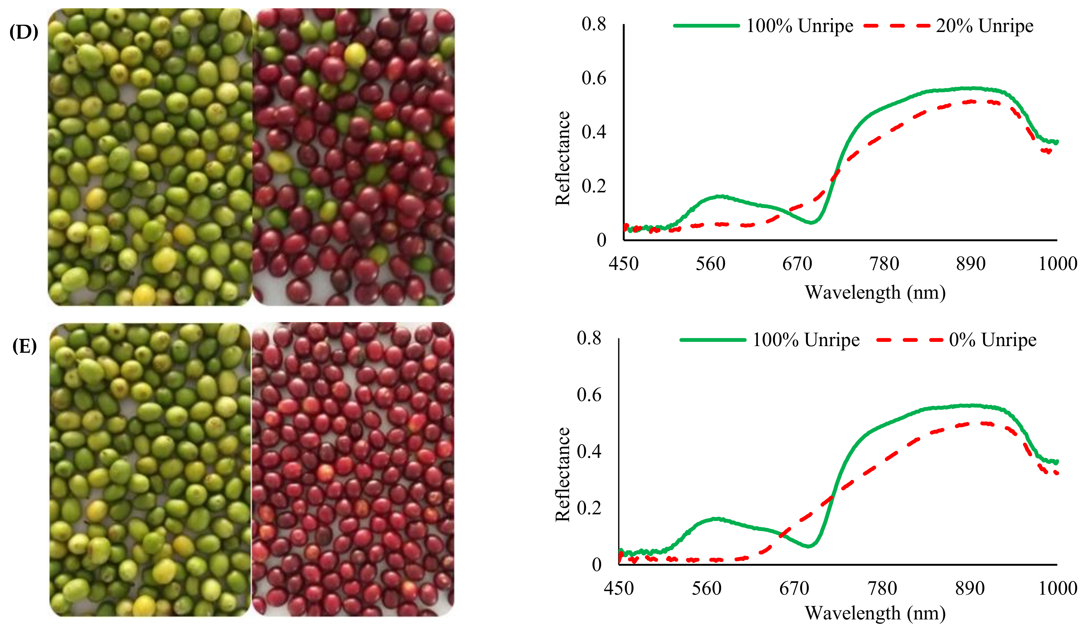 Remotesensing 13 00263 g005b