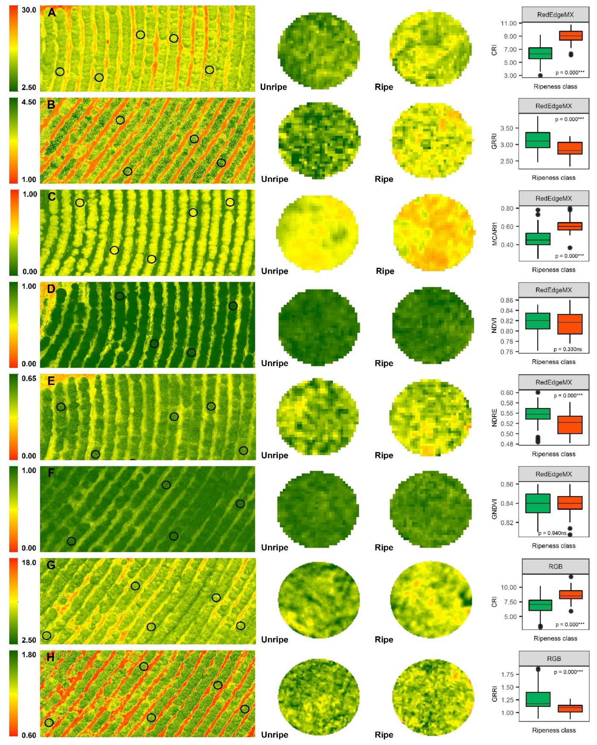 Remotesensing 13 00263 g006