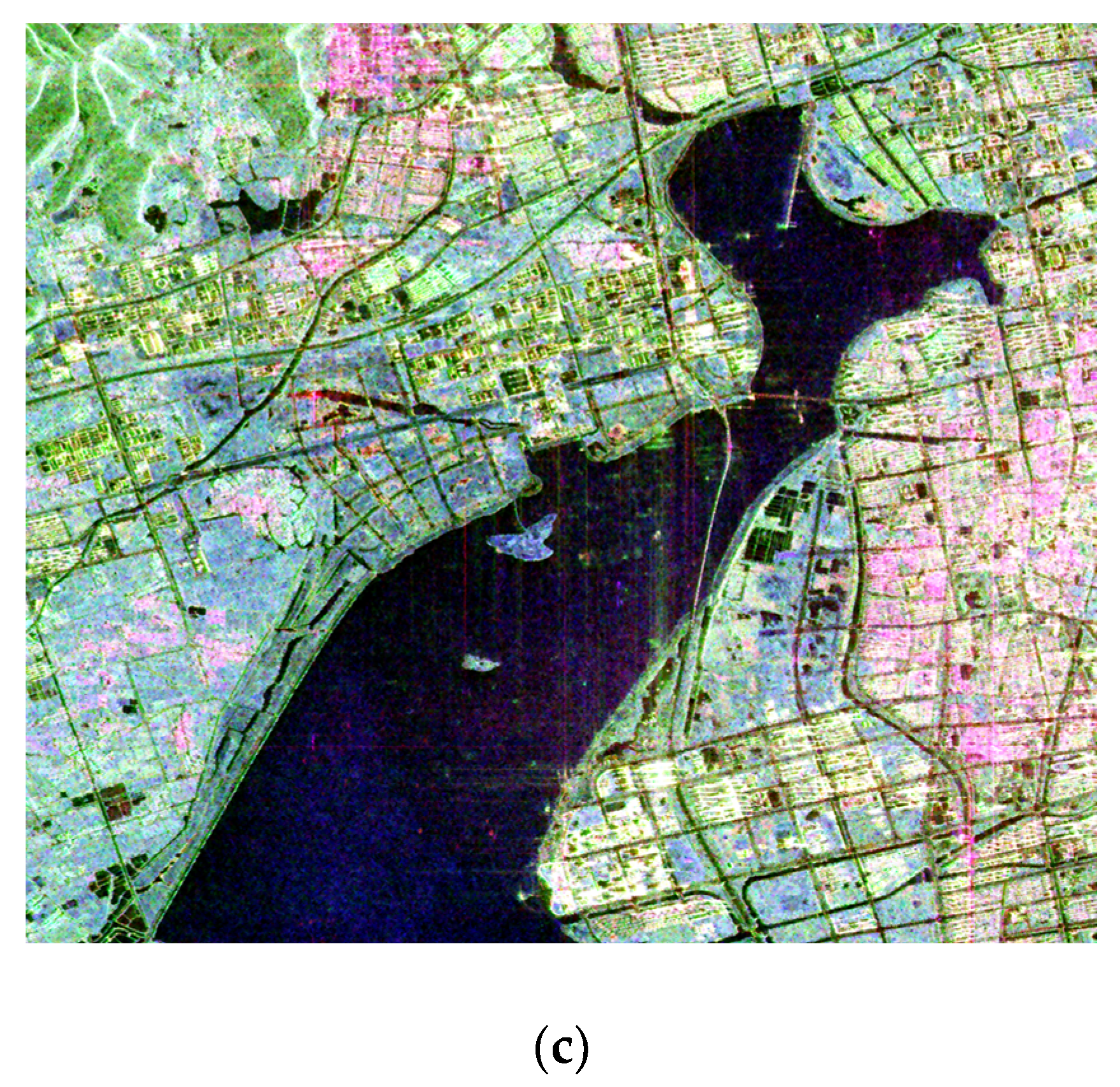 Remotesensing 13 00271 g001b