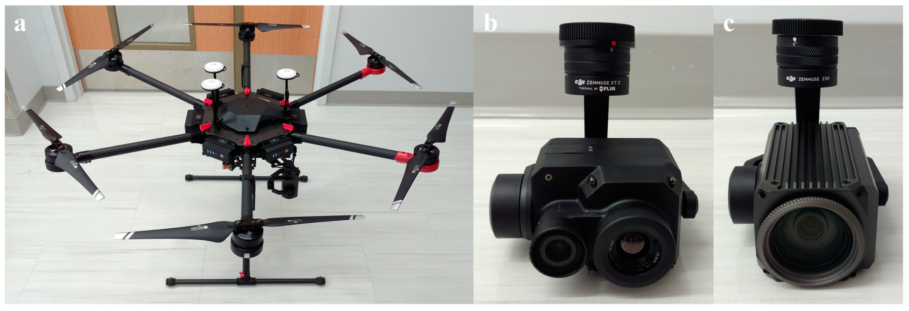 Remotesensing 13 00273 g001