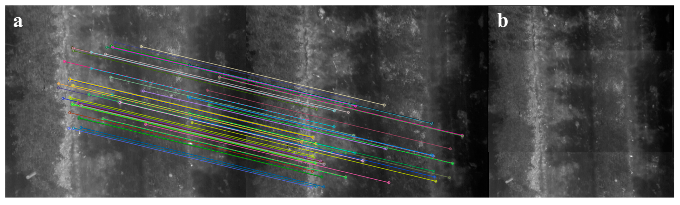 Remotesensing 13 00273 g004