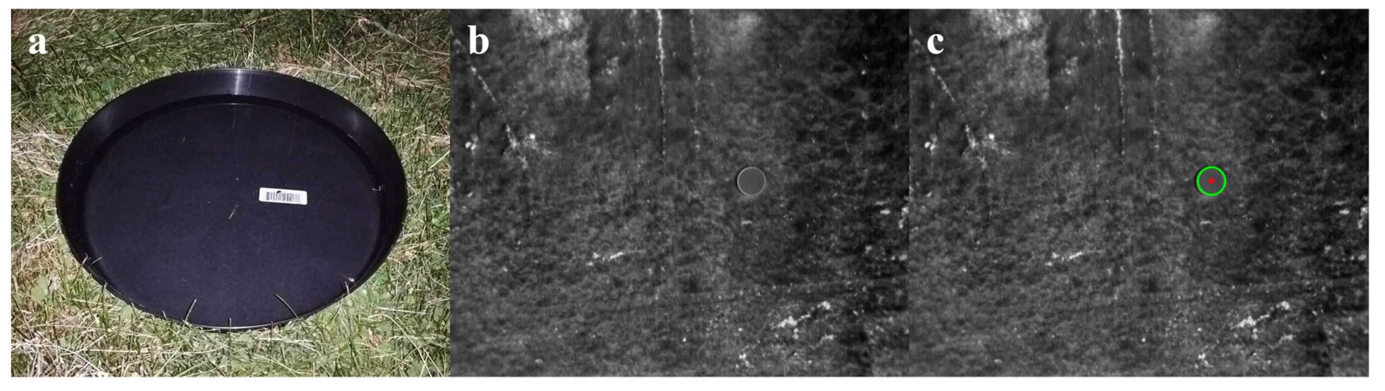 Remotesensing 13 00273 g005