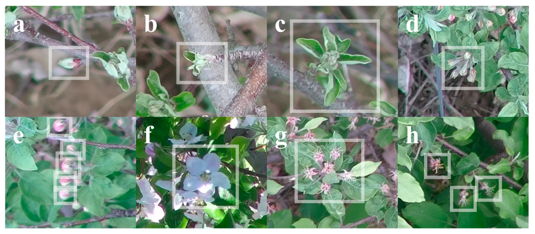 Remotesensing 13 00273 g006