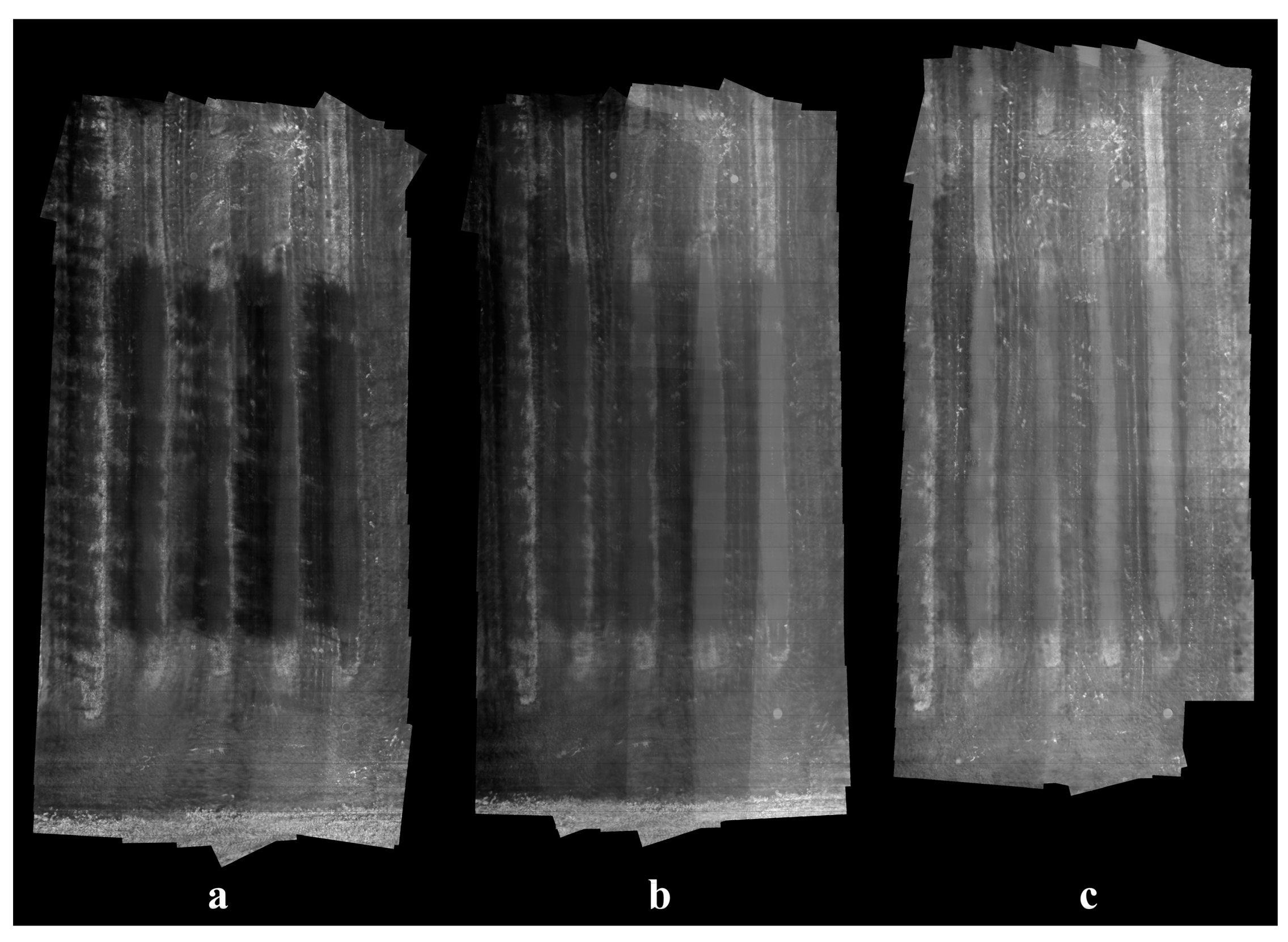 Remotesensing 13 00273 g010