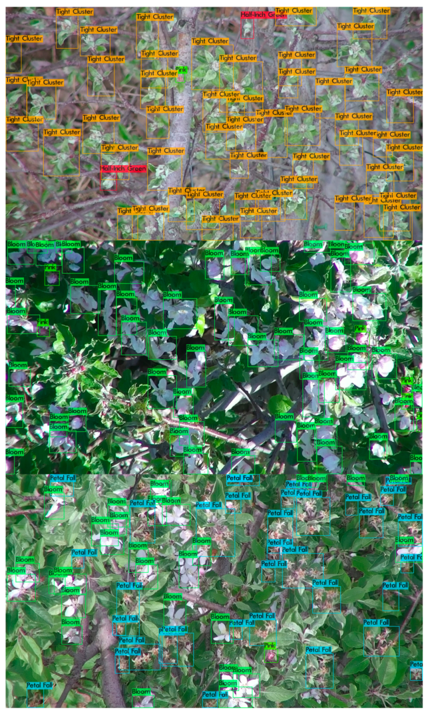 Remotesensing 13 00273 g012