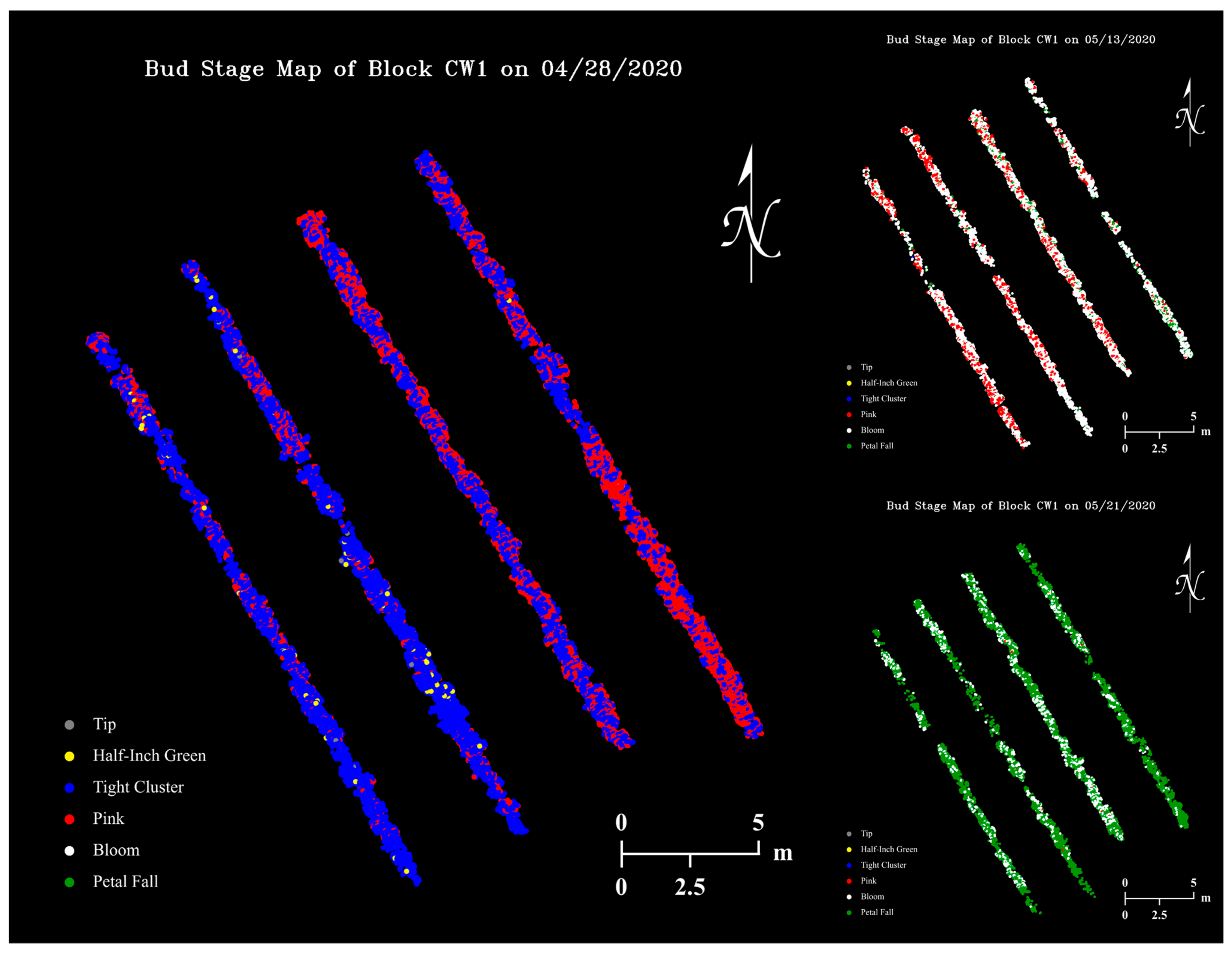 Remotesensing 13 00273 g013