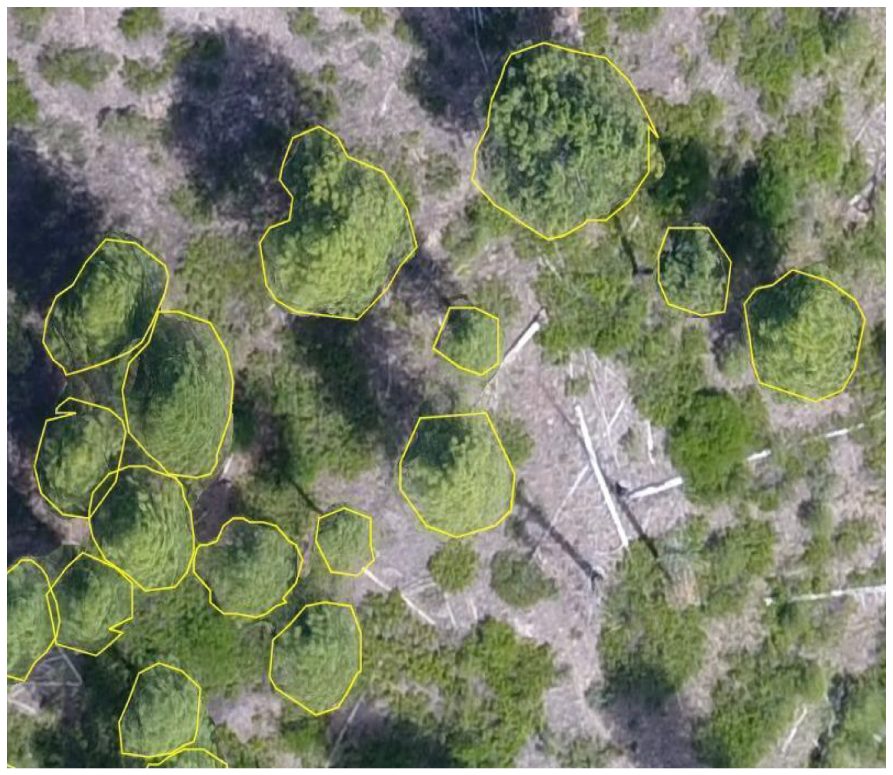 Remotesensing 13 00290 g001