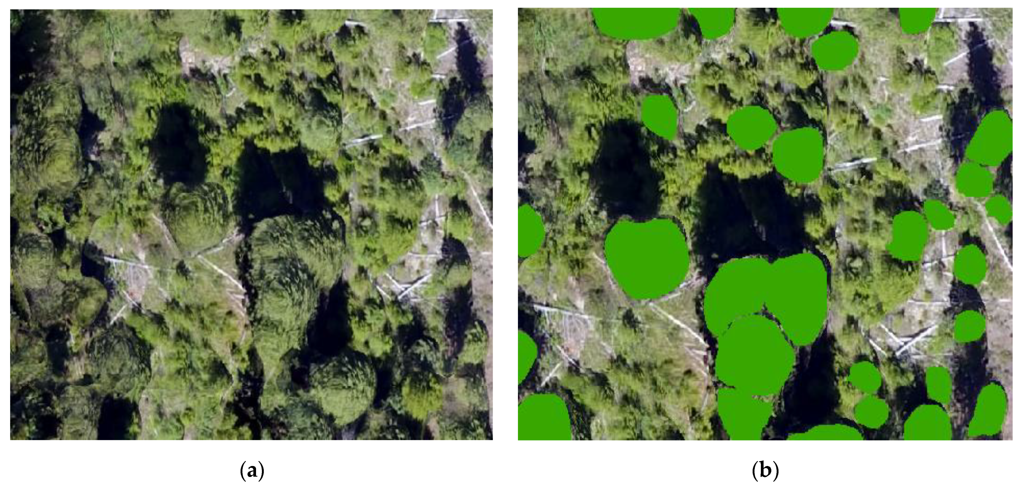 Remotesensing 13 00290 g002