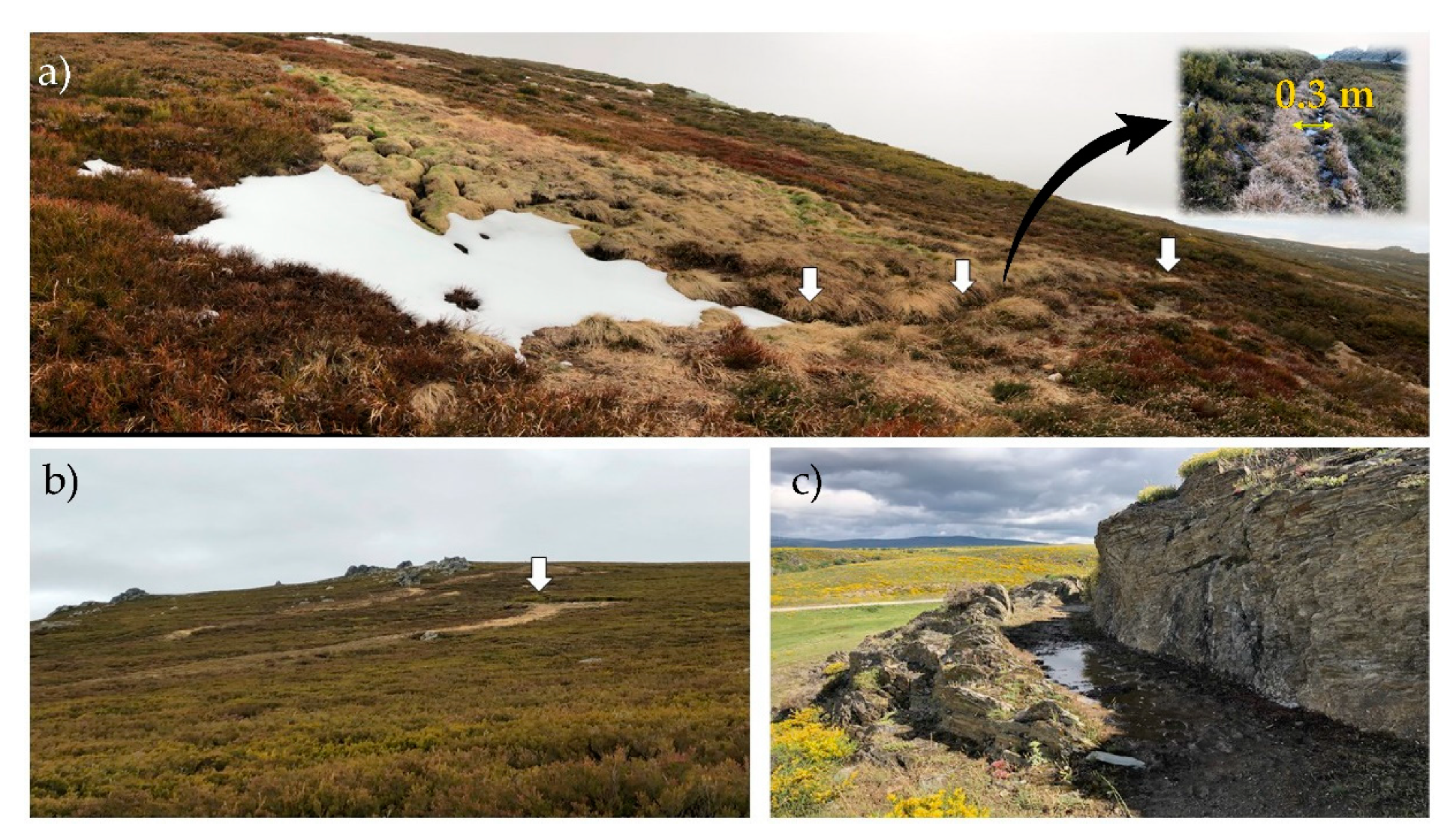 Remotesensing 13 00291 g002