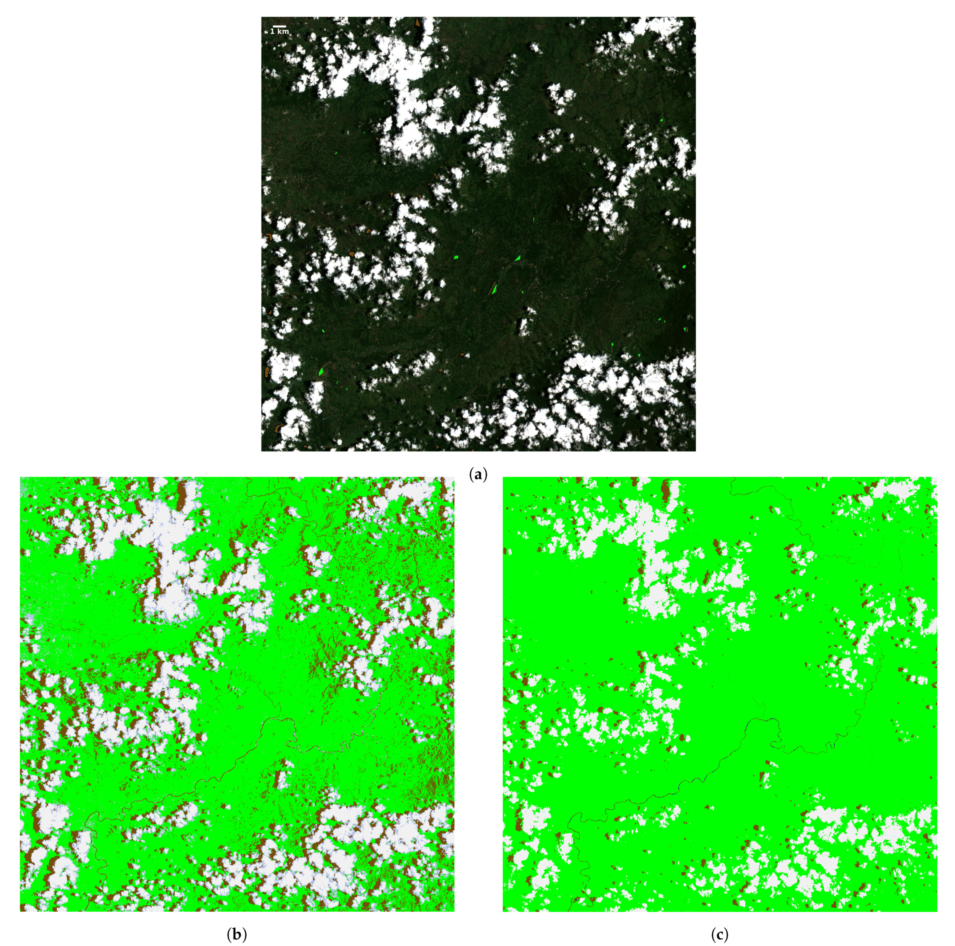 Remotesensing 13 00300 g007 Remotesensing 13 00300 g007