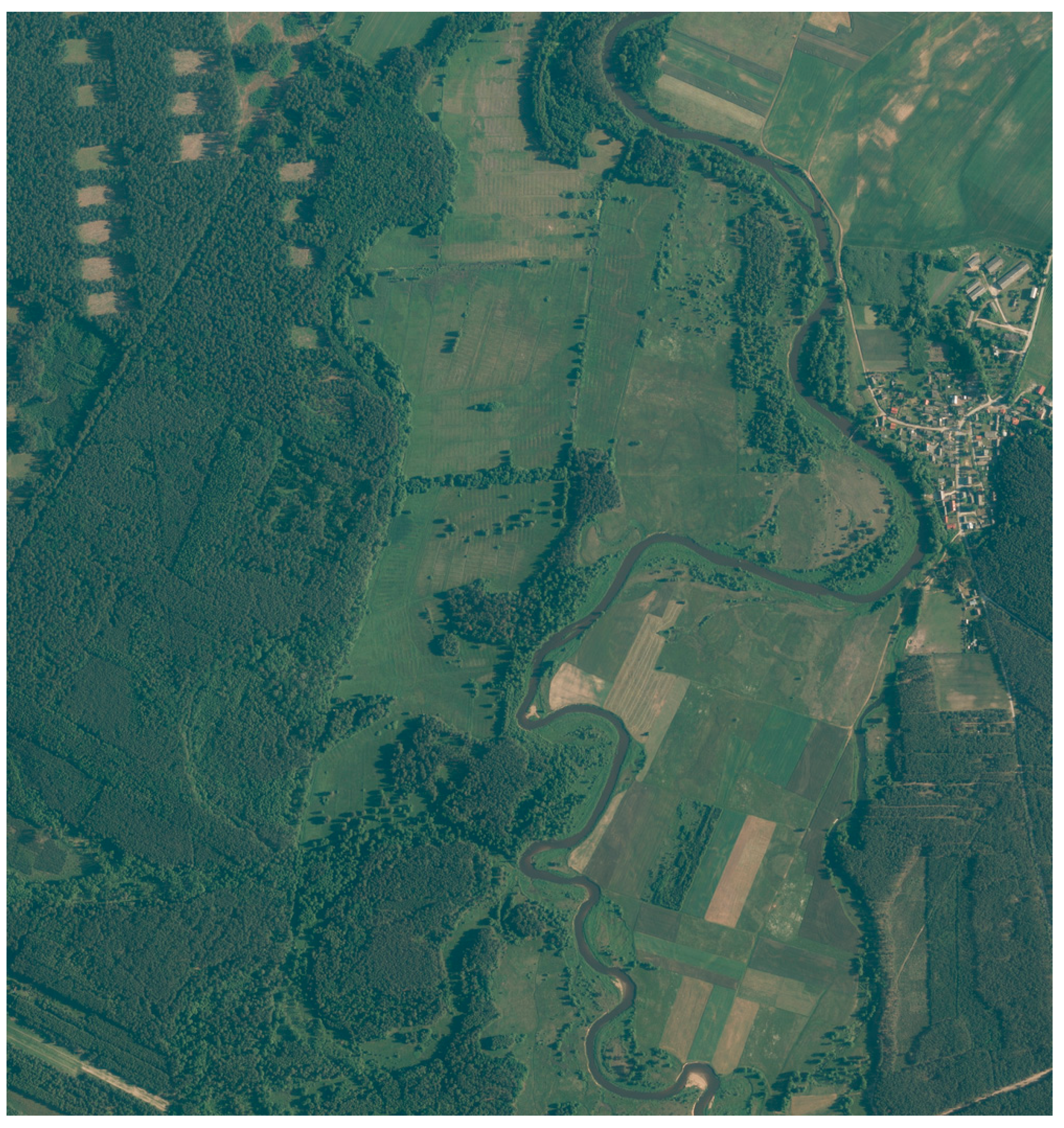 Remotesensing 13 00306 g007