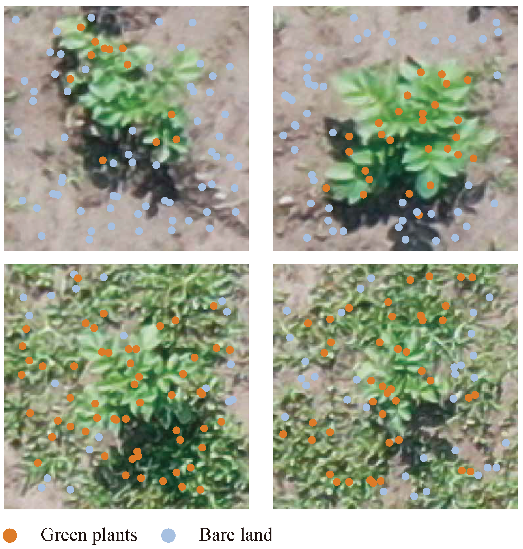 Remotesensing 13 00310 g007