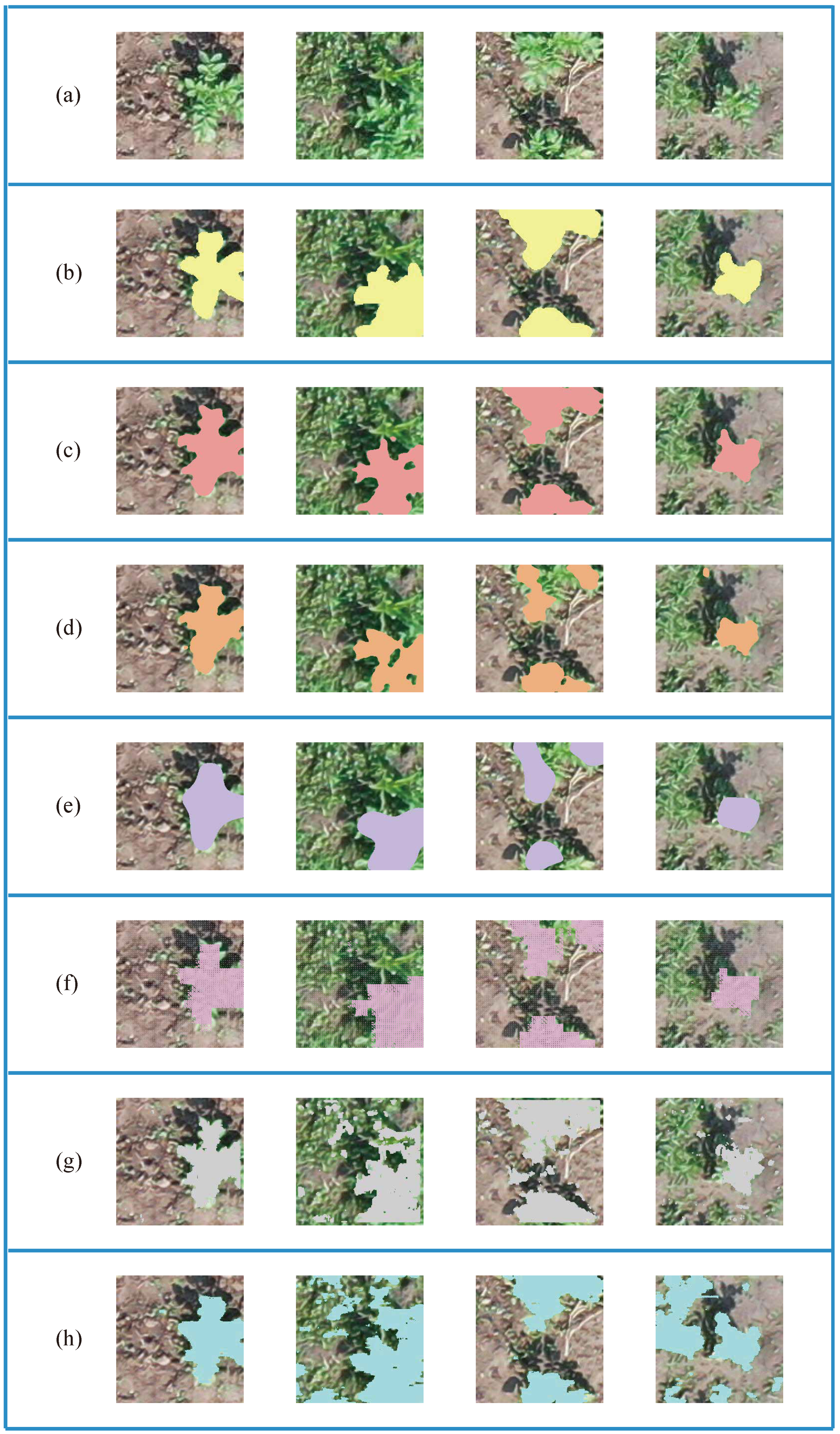 Remotesensing 13 00310 g012