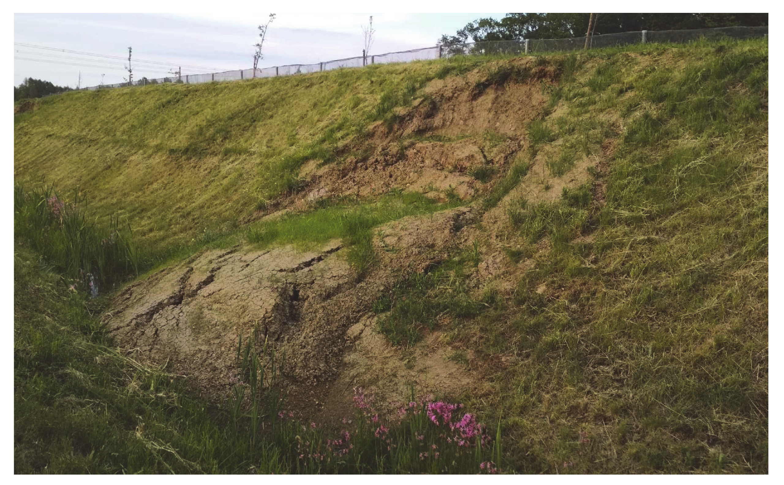 Remotesensing 13 00317 g002 Remotesensing 13 00317 g002