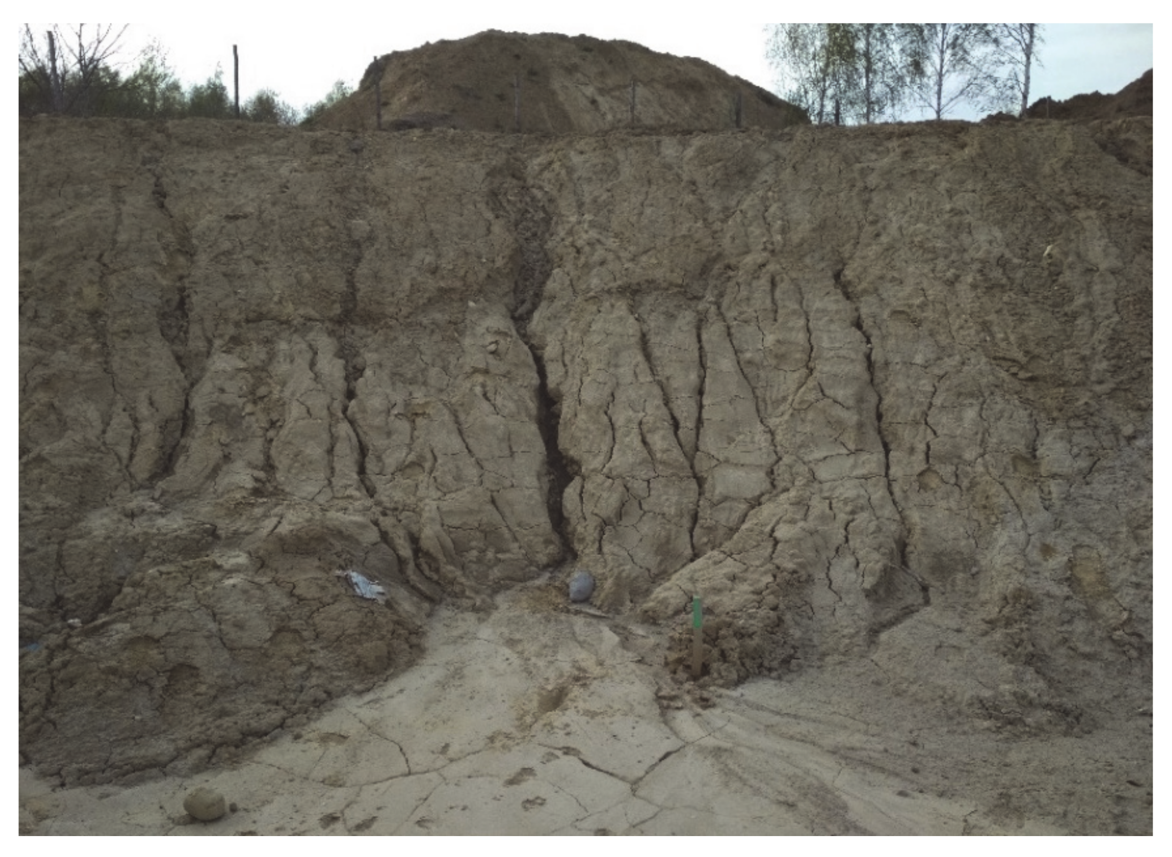 Remotesensing 13 00317 g003 Remotesensing 13 00317 g003