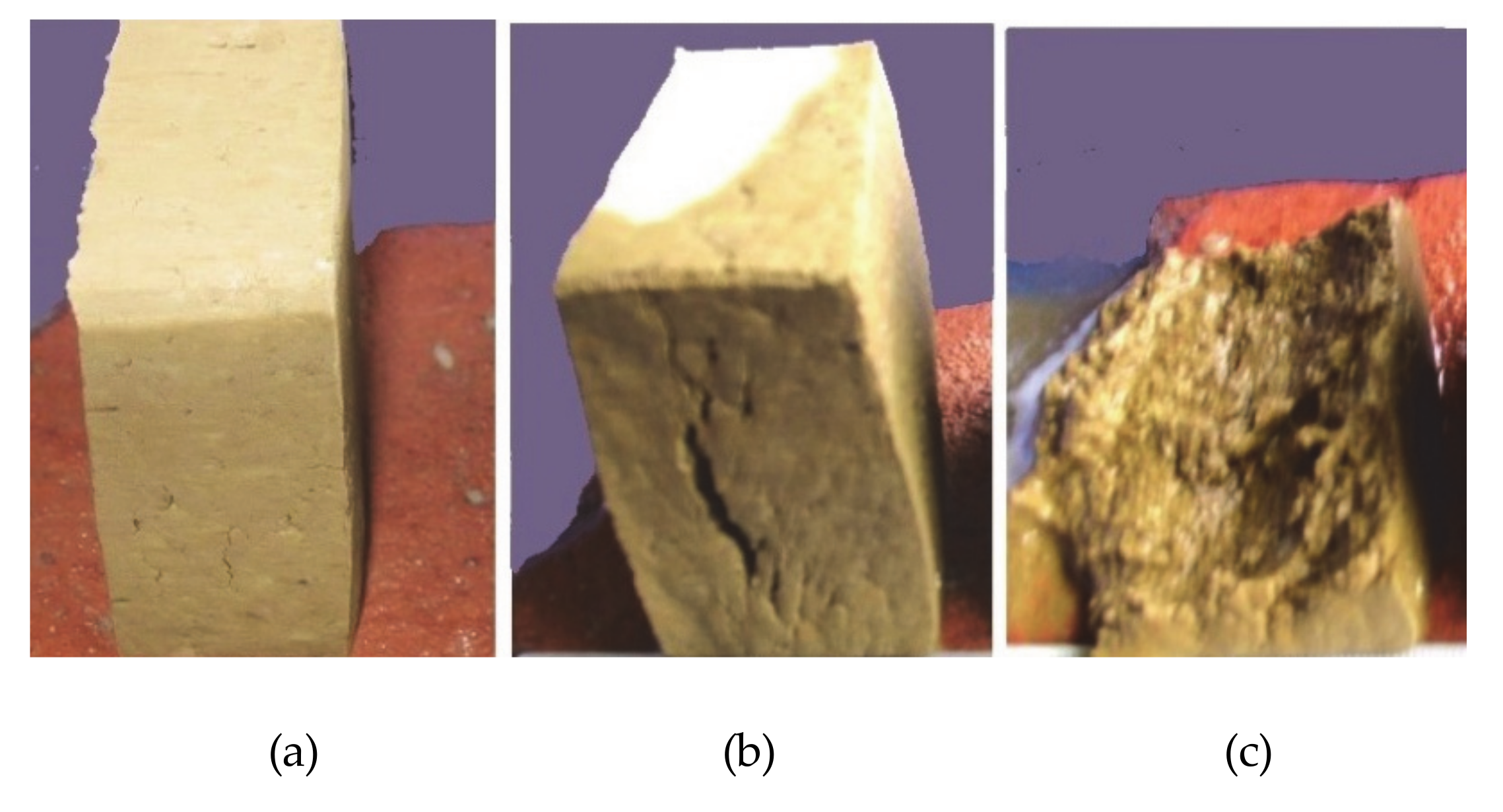 Remotesensing 13 00317 g004 Remotesensing 13 00317 g004