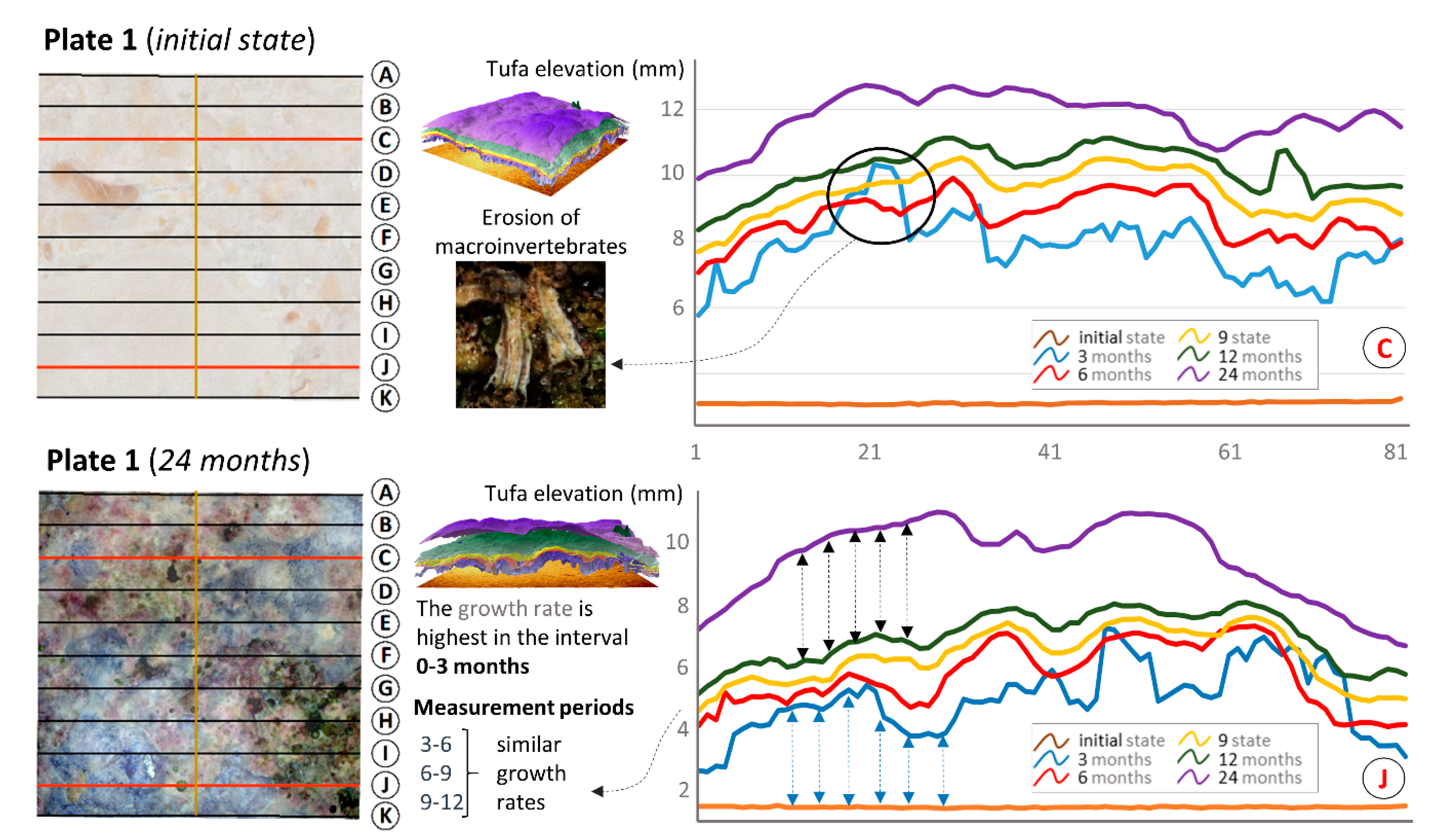 Remotesensing 13 00321 g014